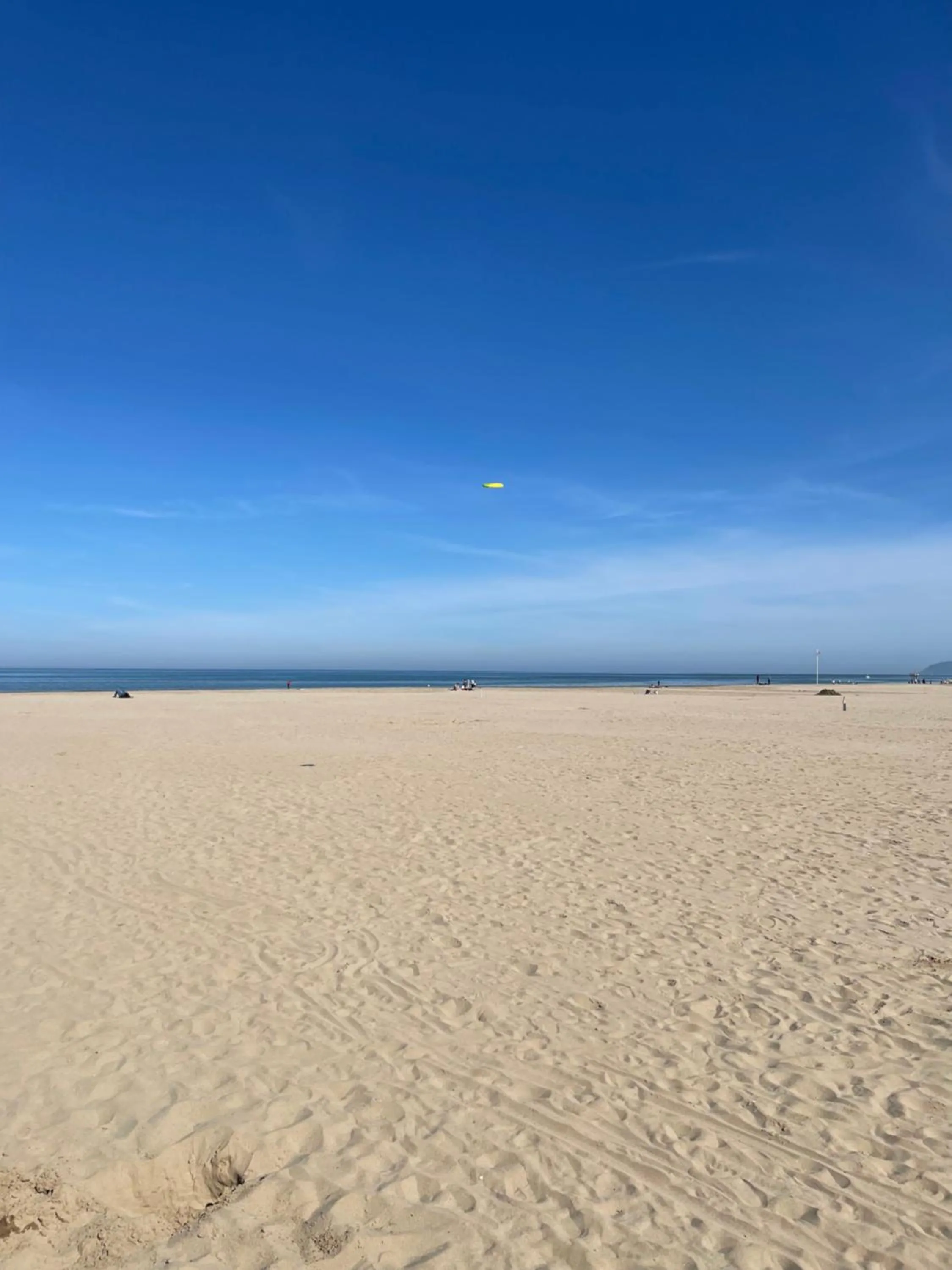 Summer in Residence Siesta