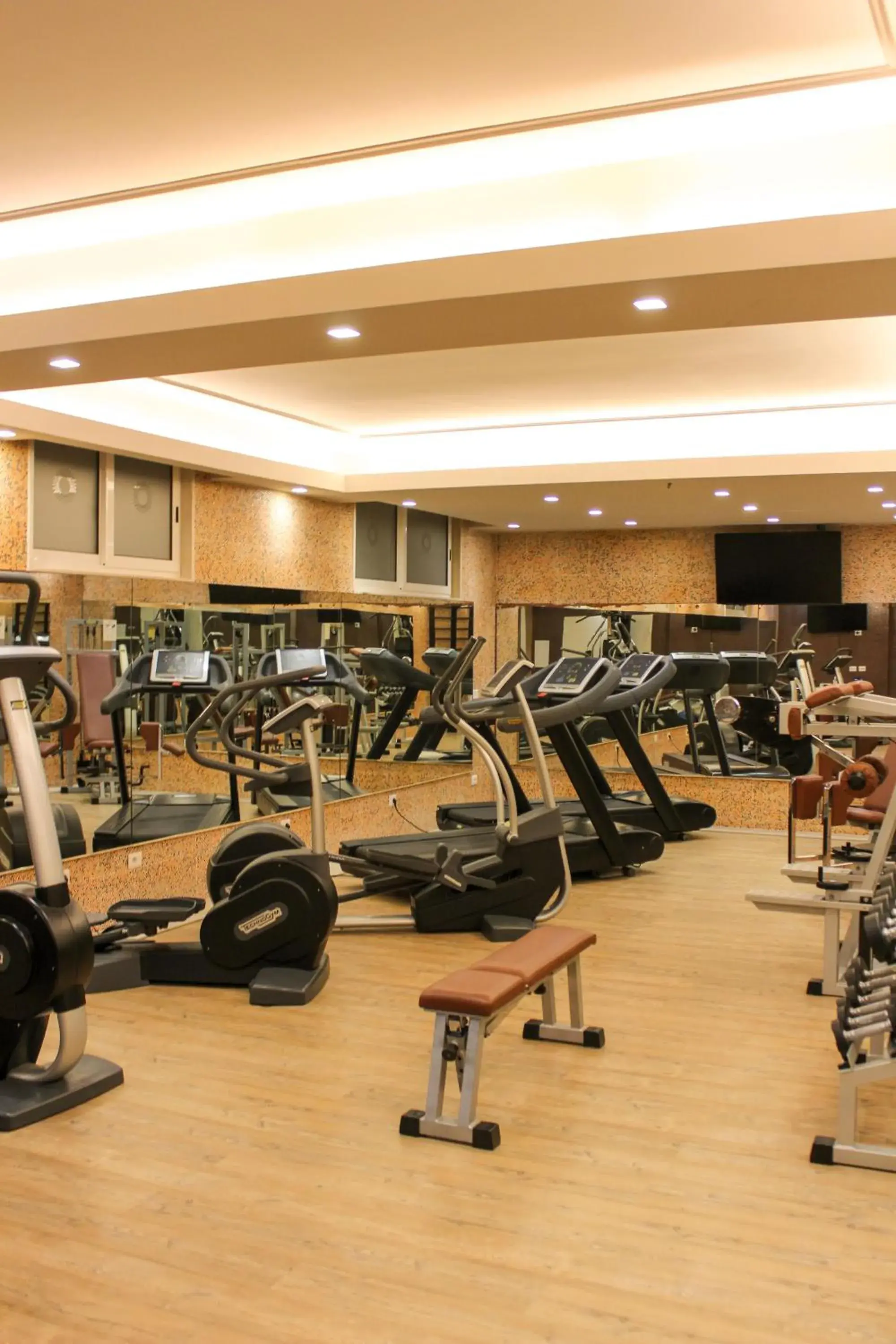 Fitness centre/facilities in Bianco Riccio Suite Hotel Fitness centre/facilities in Bianco Riccio Suite Hotel