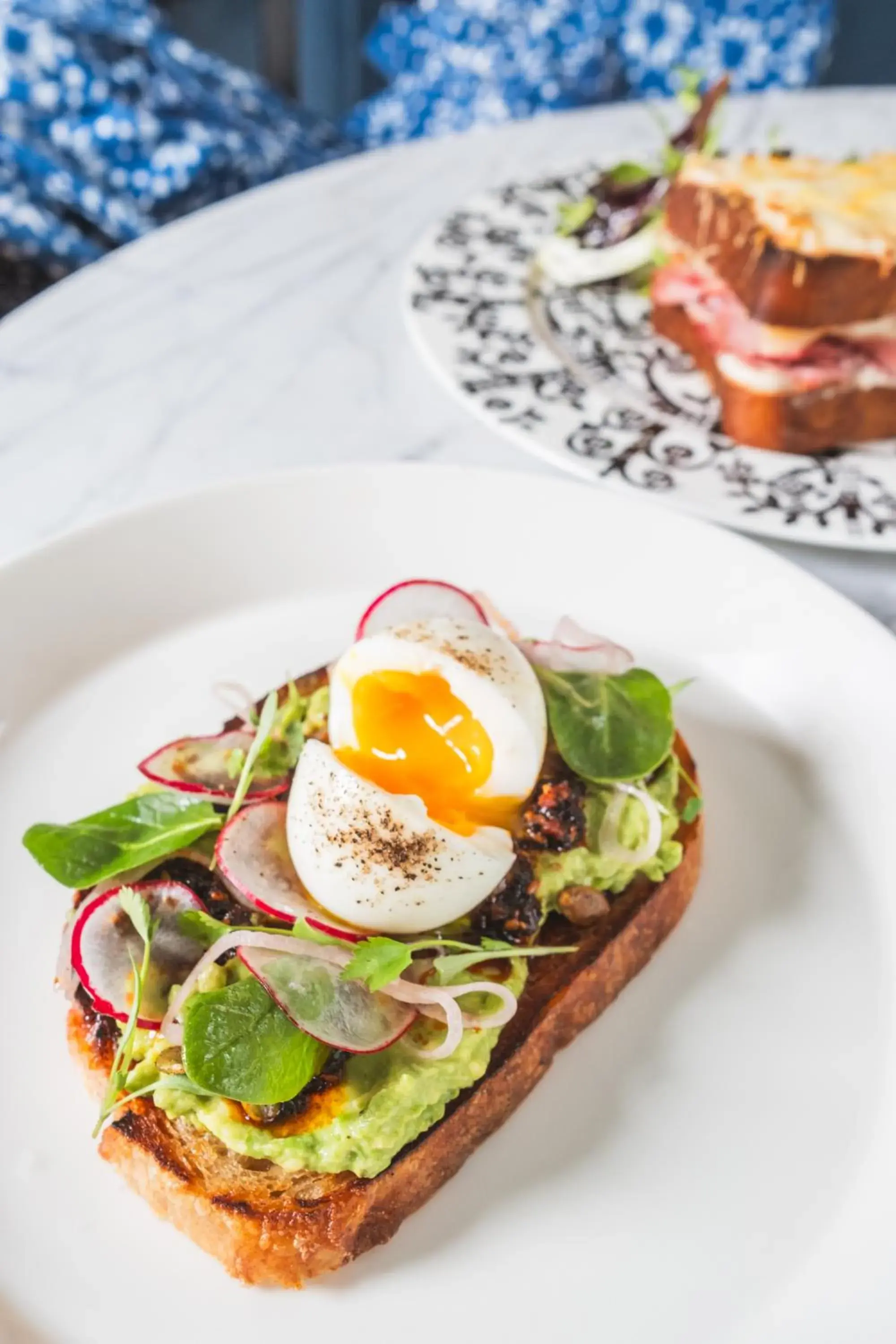 Food and drinks in Hotel Saint Cecilia Food and drinks in Hotel Saint Cecilia