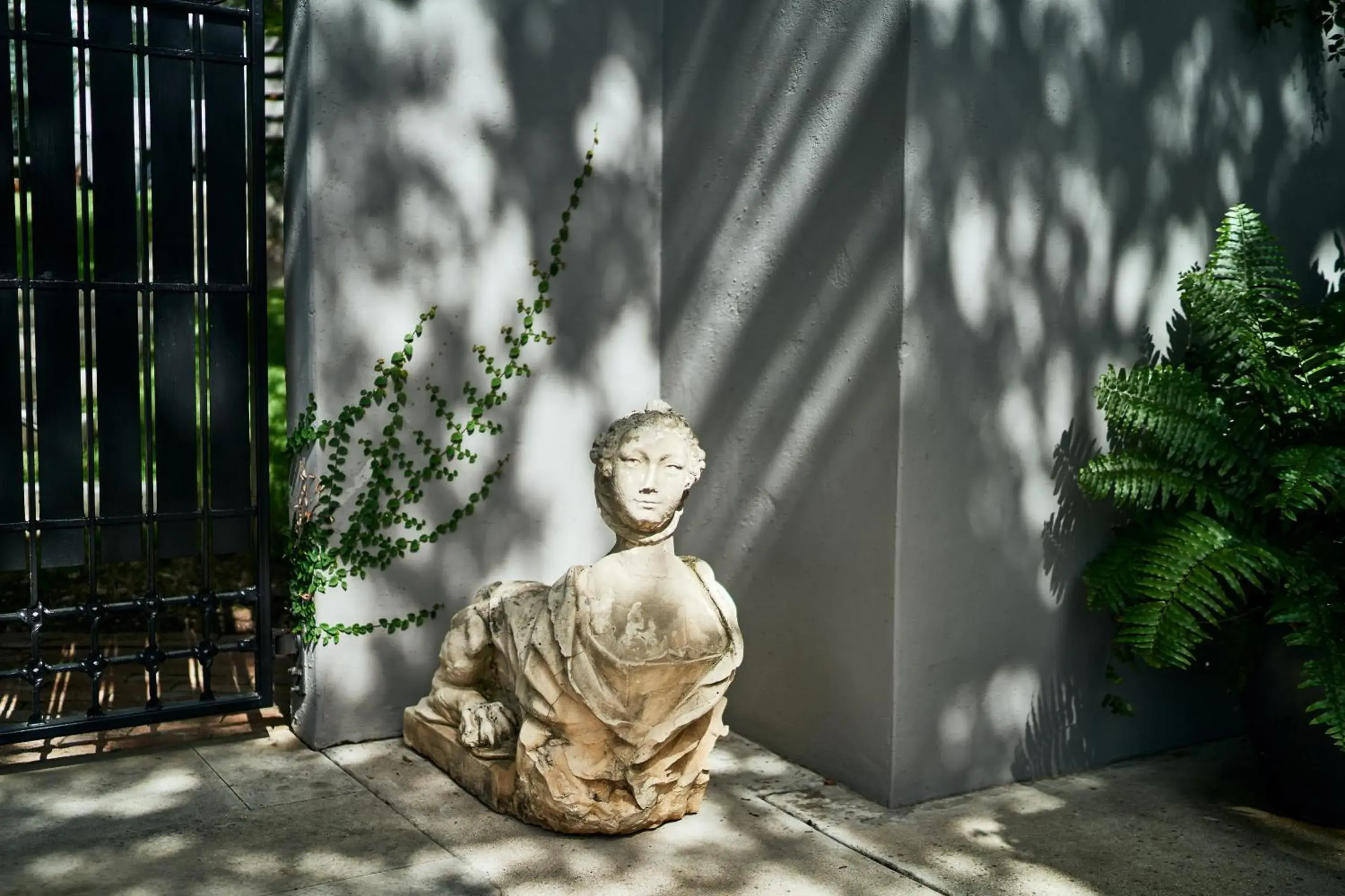 Swimming pool in Hotel Saint Cecilia Swimming pool in Hotel Saint Cecilia
