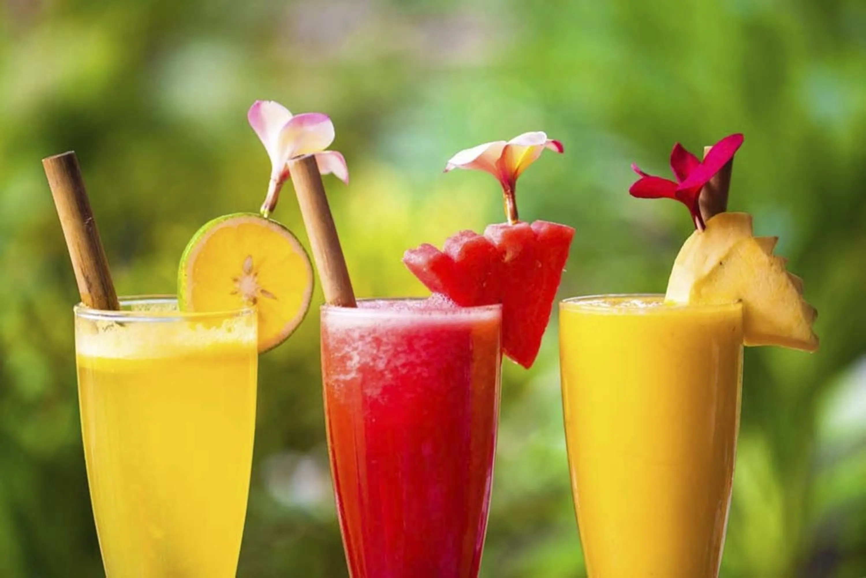 Lounge or bar in Kubuku Eco Dive Lodge and Yoga