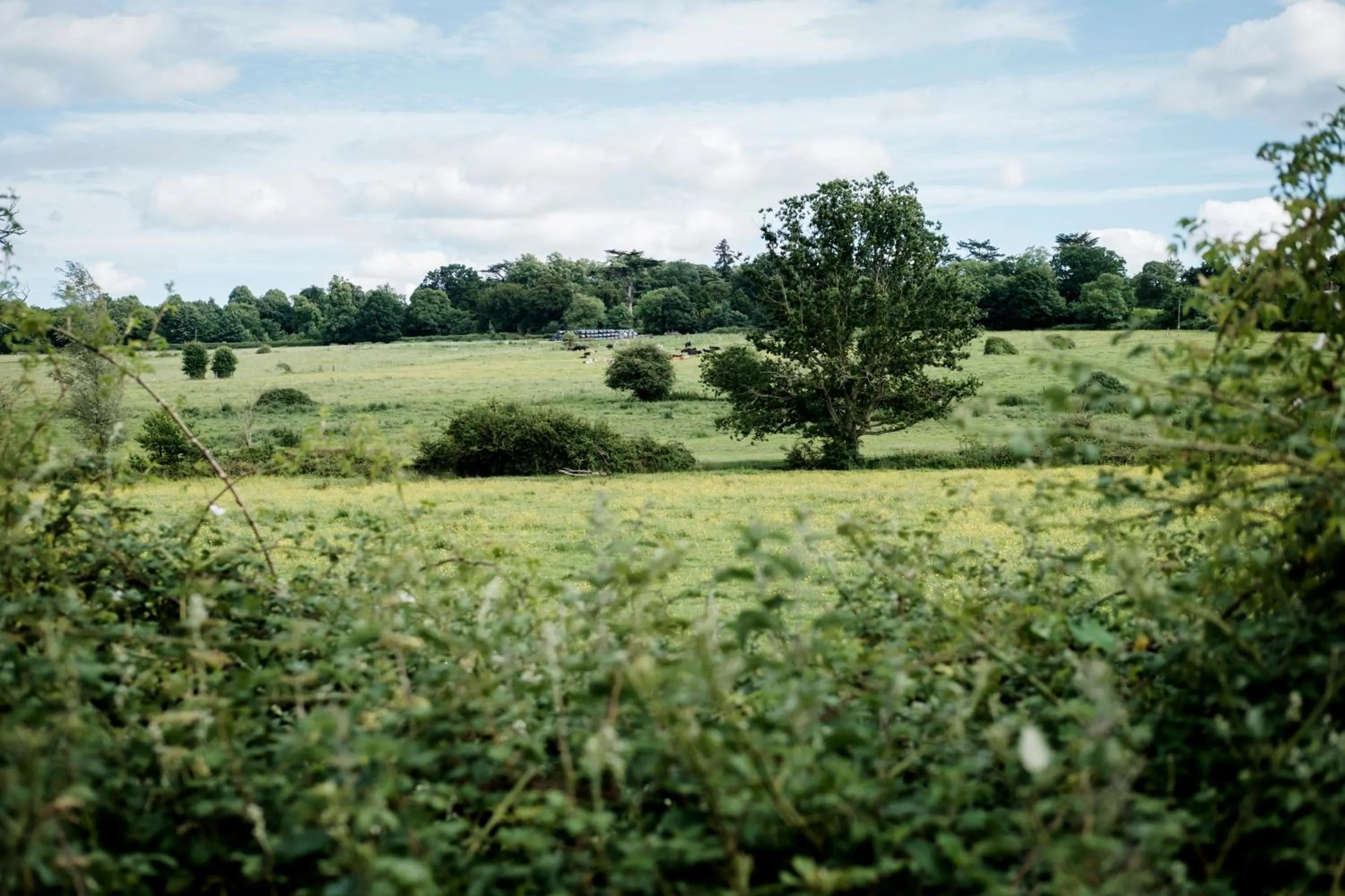 Neighbourhood in Hinds Head