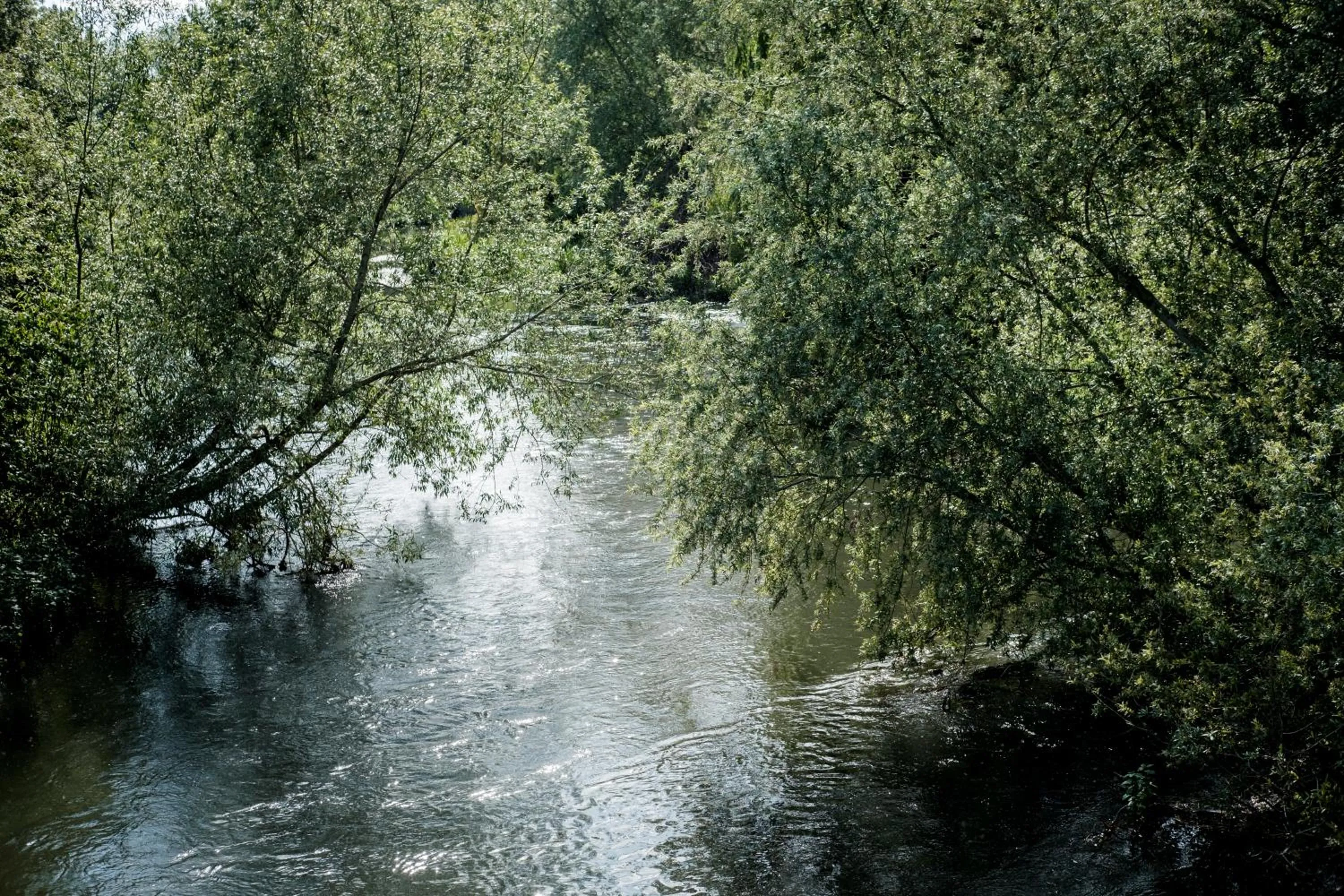 River view in Hinds Head