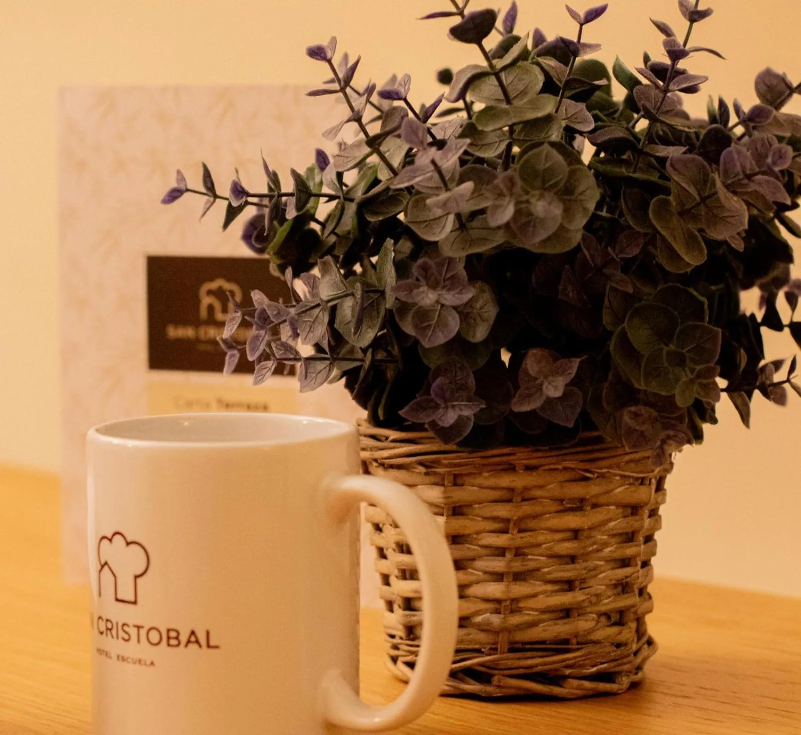 Hotel Escuela San Cristobal