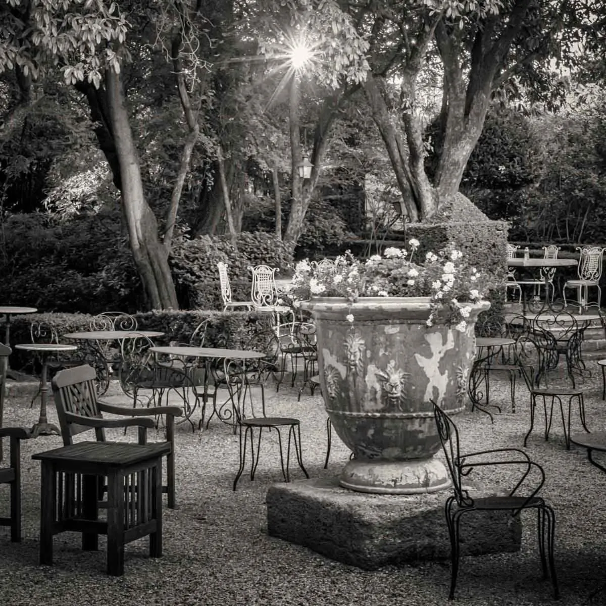Patio in Château d'Arpaillargues - TERITORIA