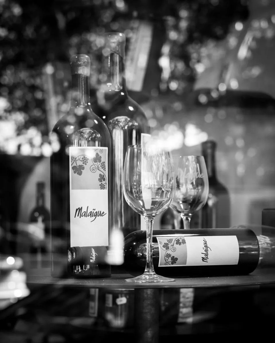 Alcoholic drinks in Château d'Arpaillargues - TERITORIA