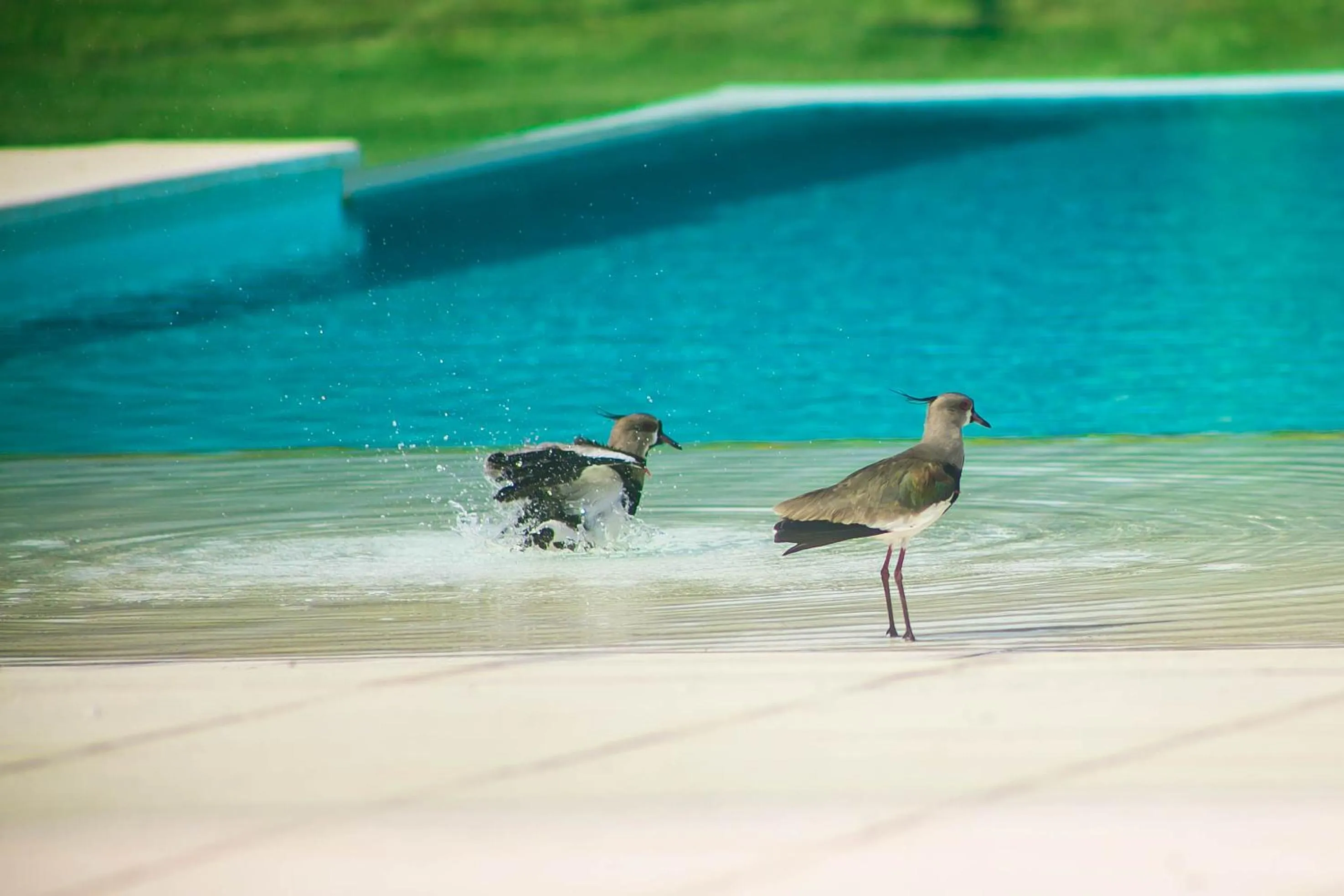 Day in Amérian Villa Maria