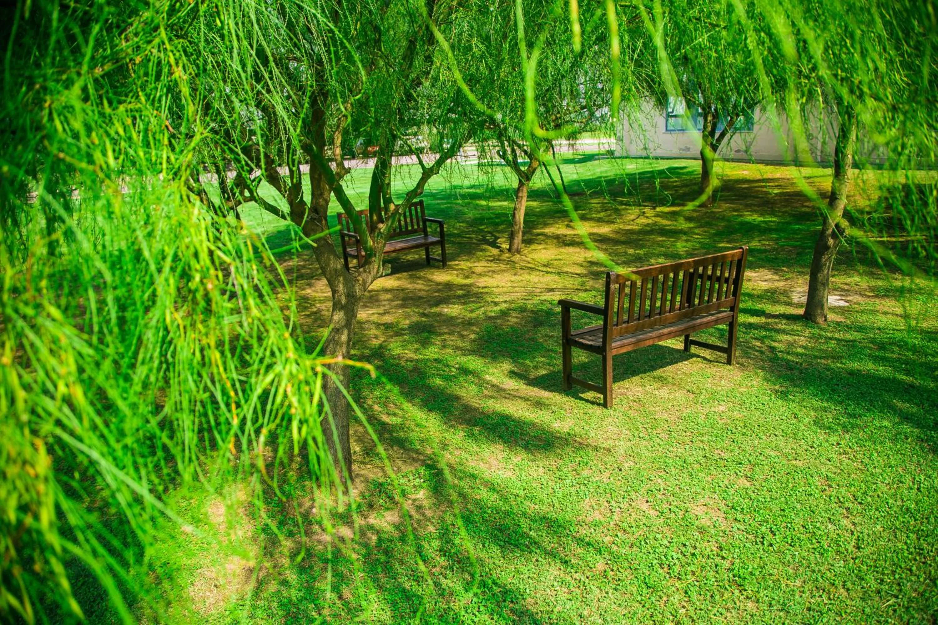 Spring in Amérian Villa Maria