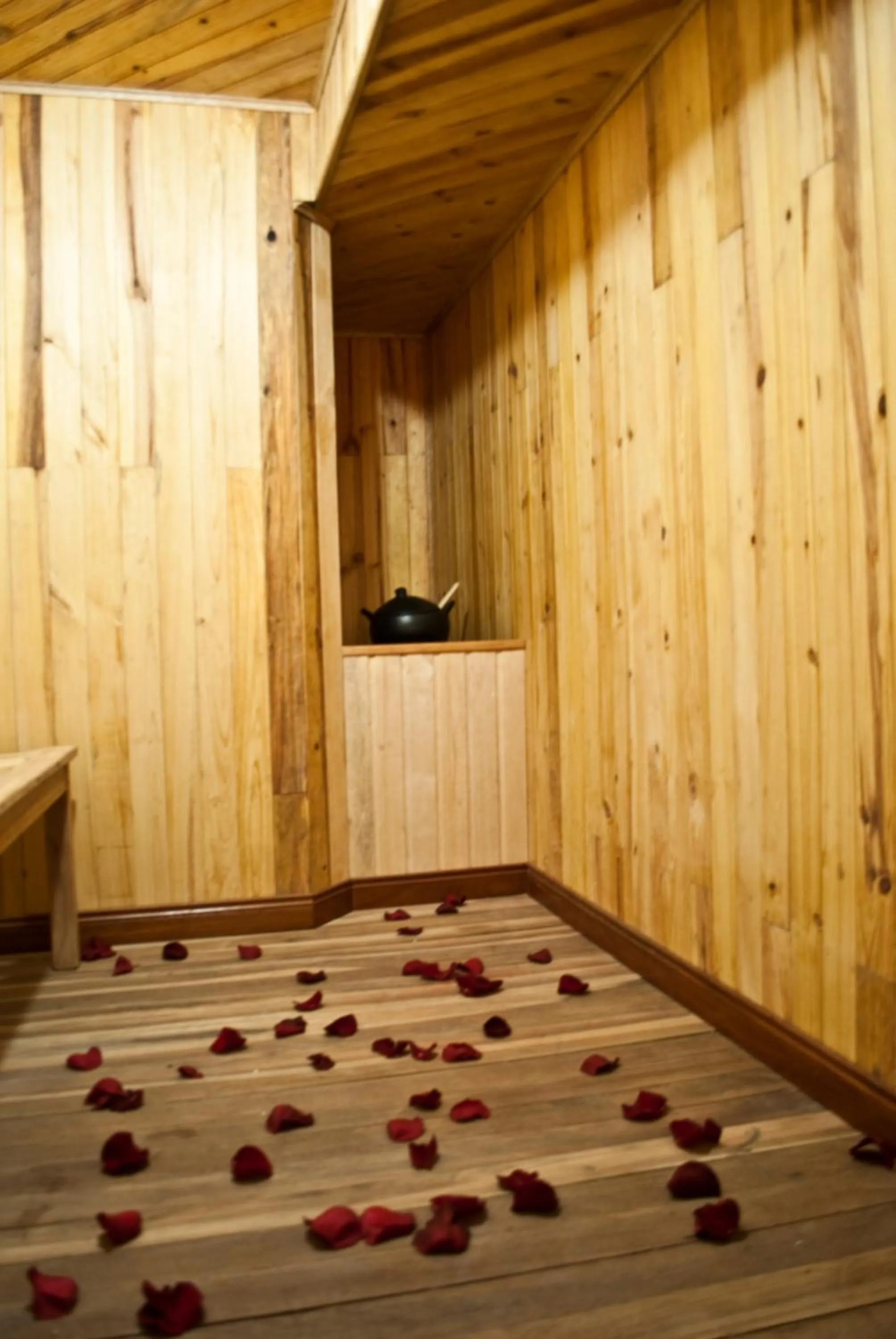 Sauna in Blu Inn Hotel