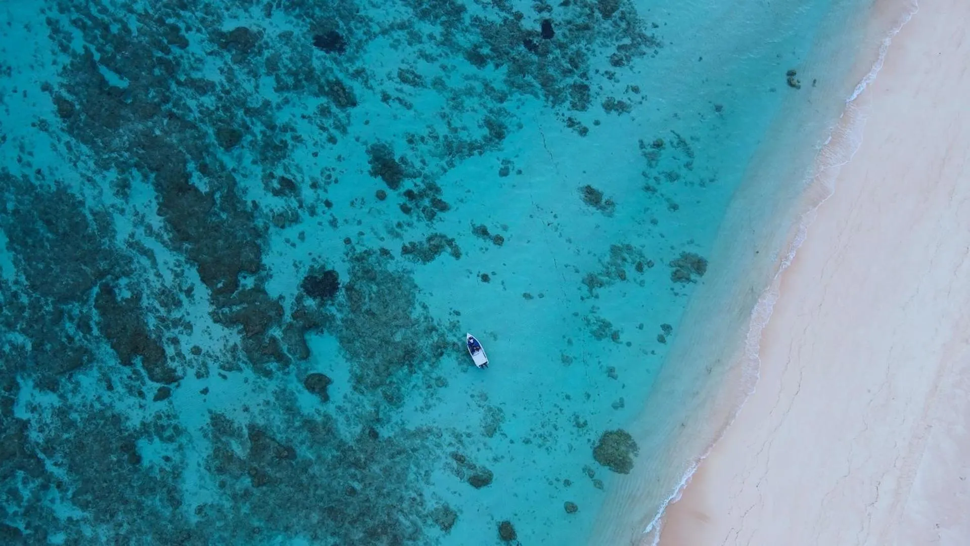Beach in Loedi Bungalows Rote