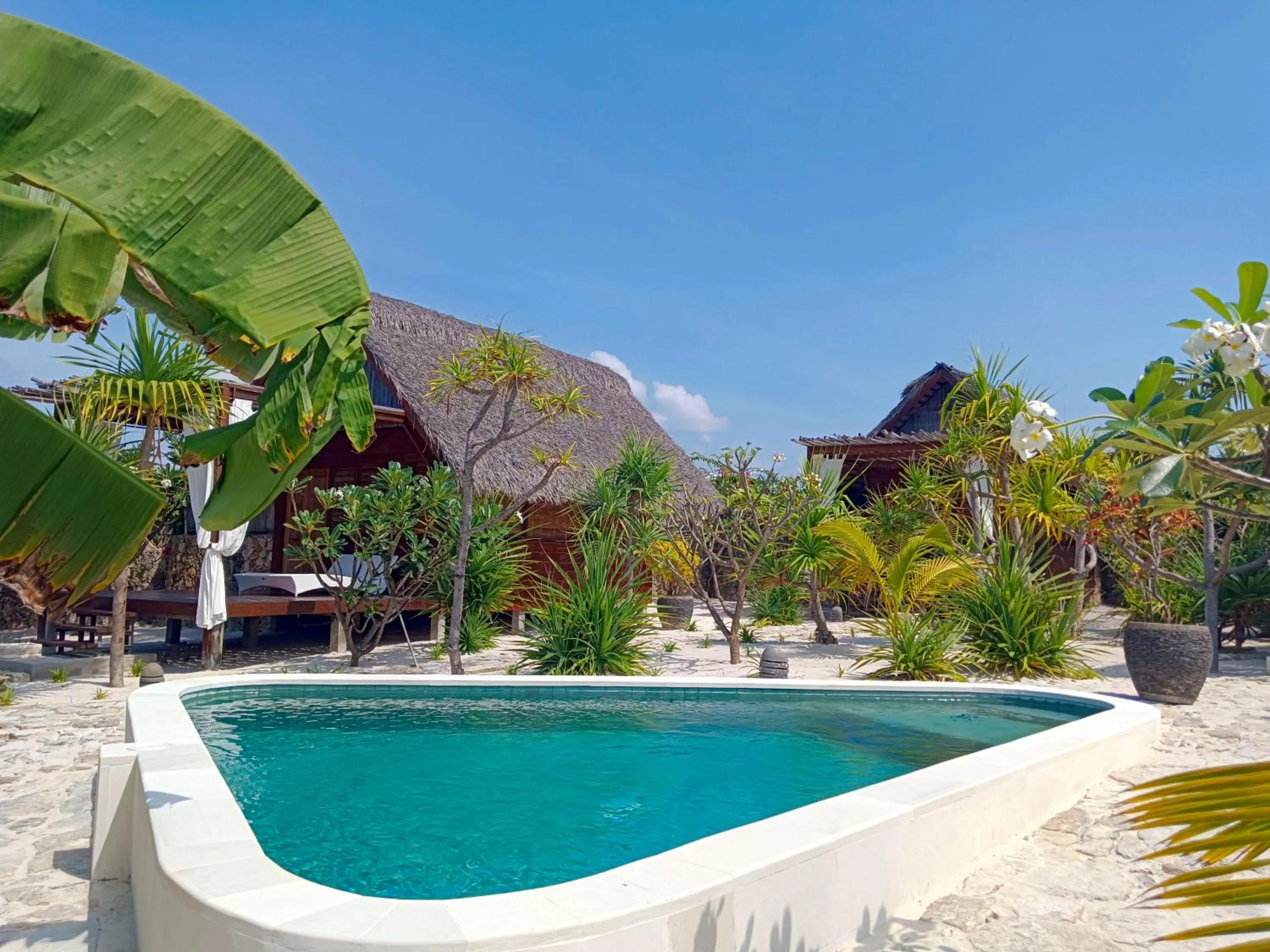 Photo of the whole room in Loedi Bungalows Rote