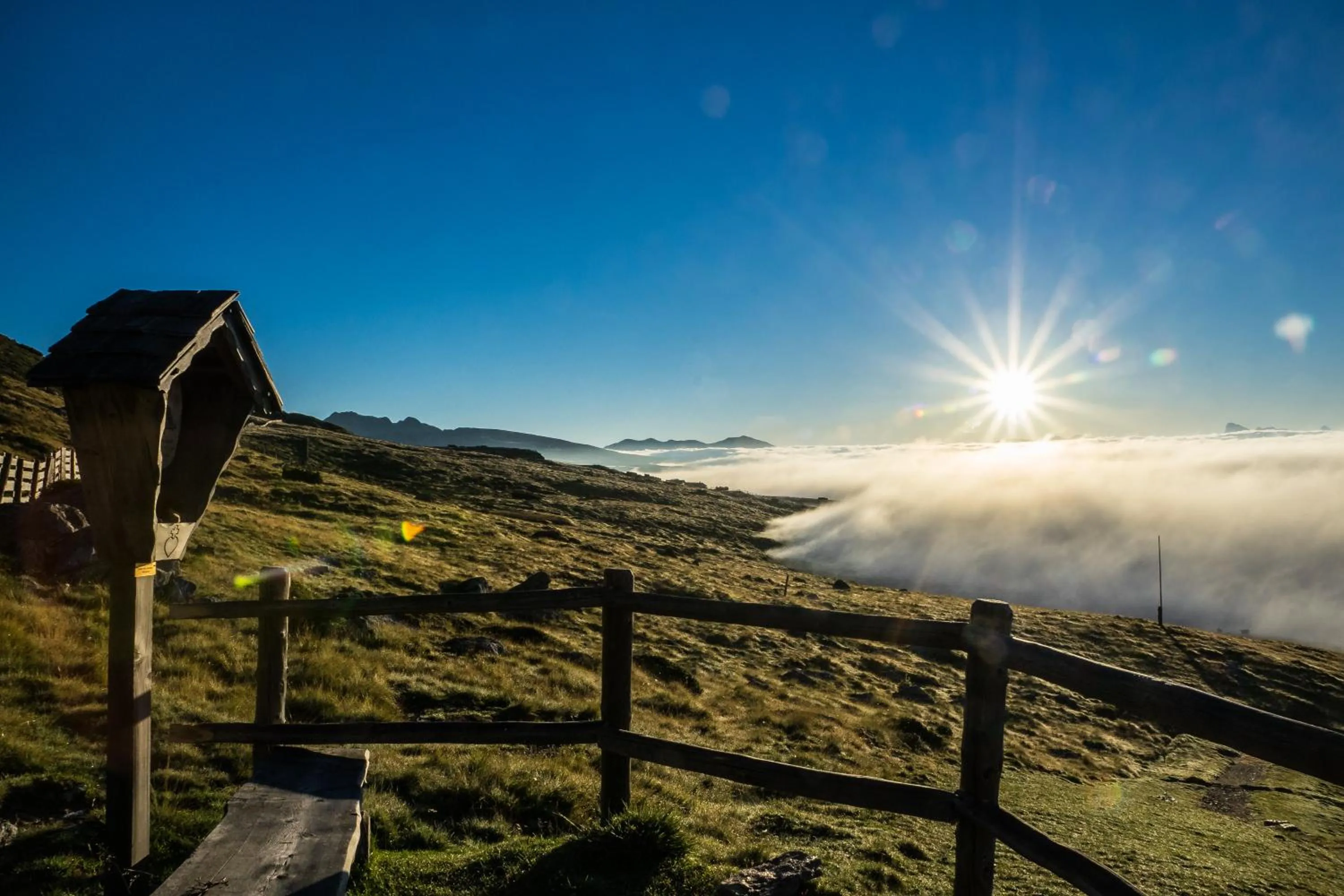 Natural landscape in Aktiv & Relax Hotel Hubertus