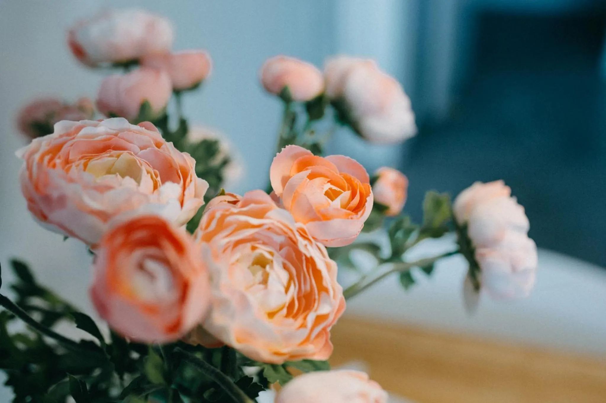 Decorative detail in Salsedine Sea View