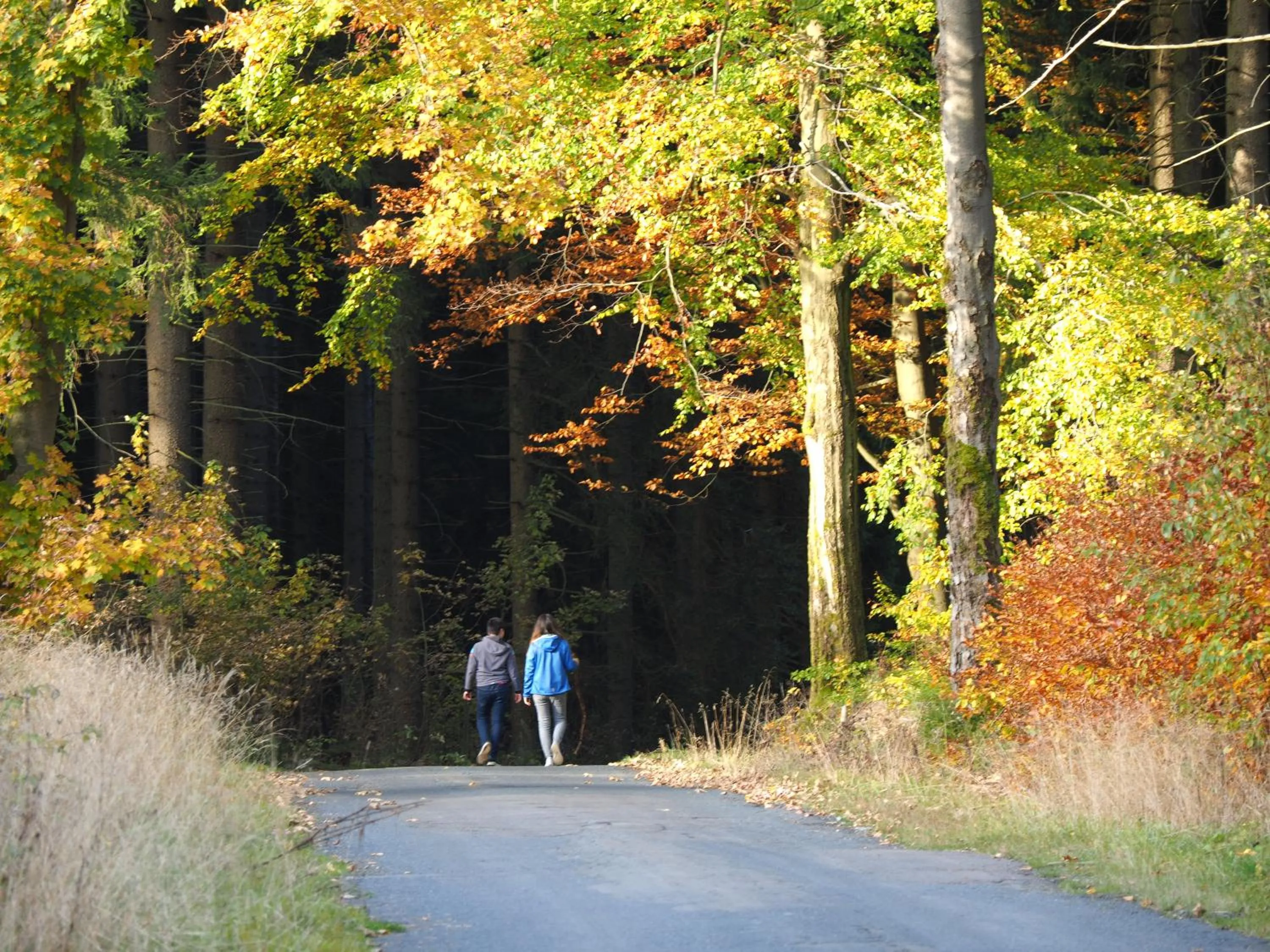 Natural landscape in Pension Raststüb'l