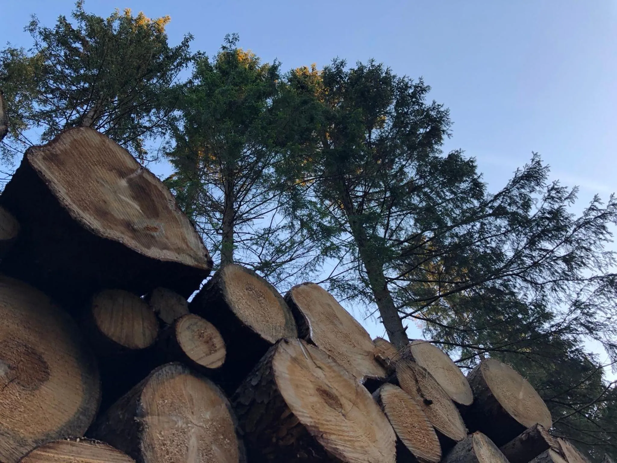 Nearby landmark in Pension Raststüb'l