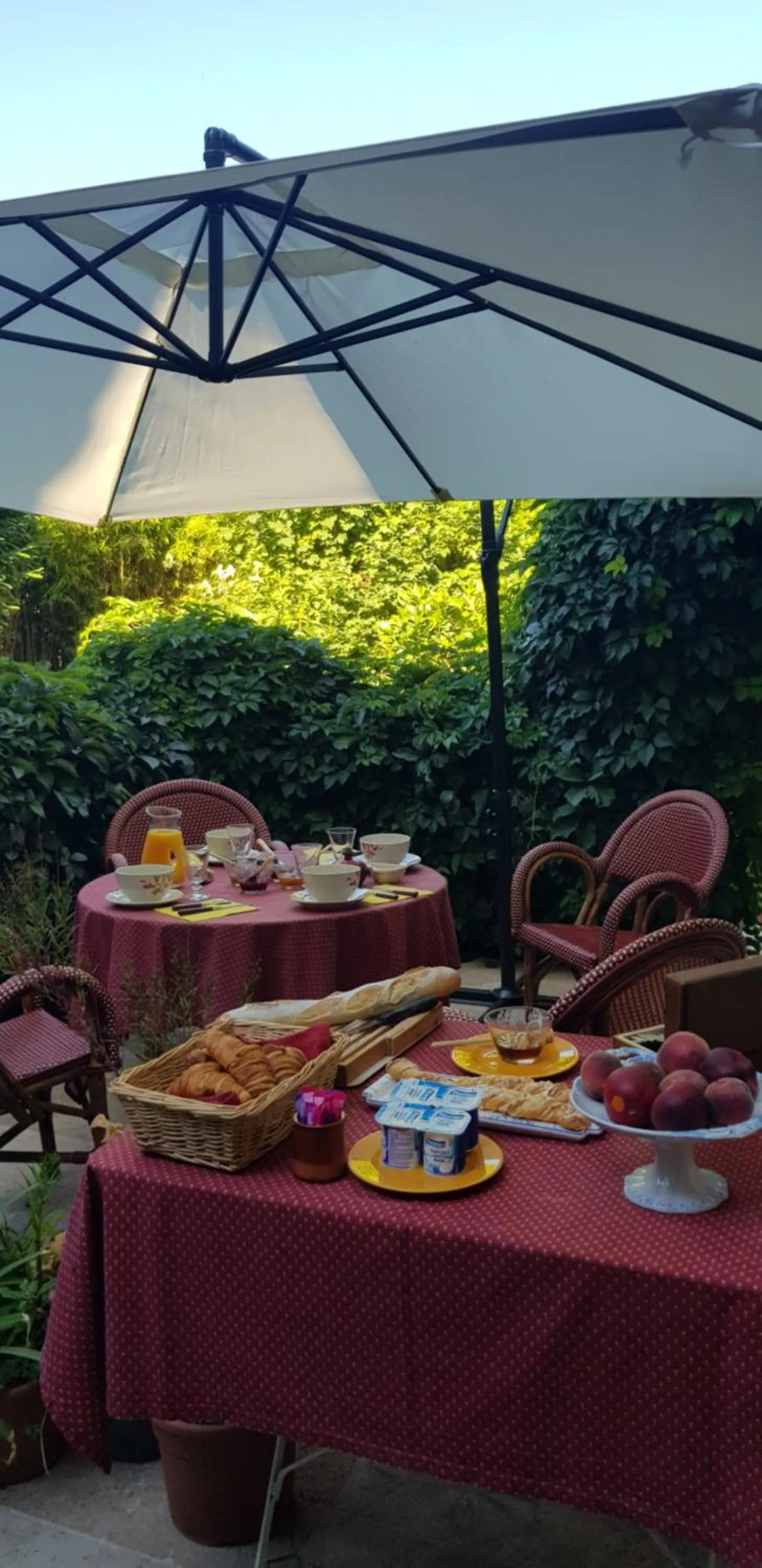 Buffet breakfast in Les Tournesols