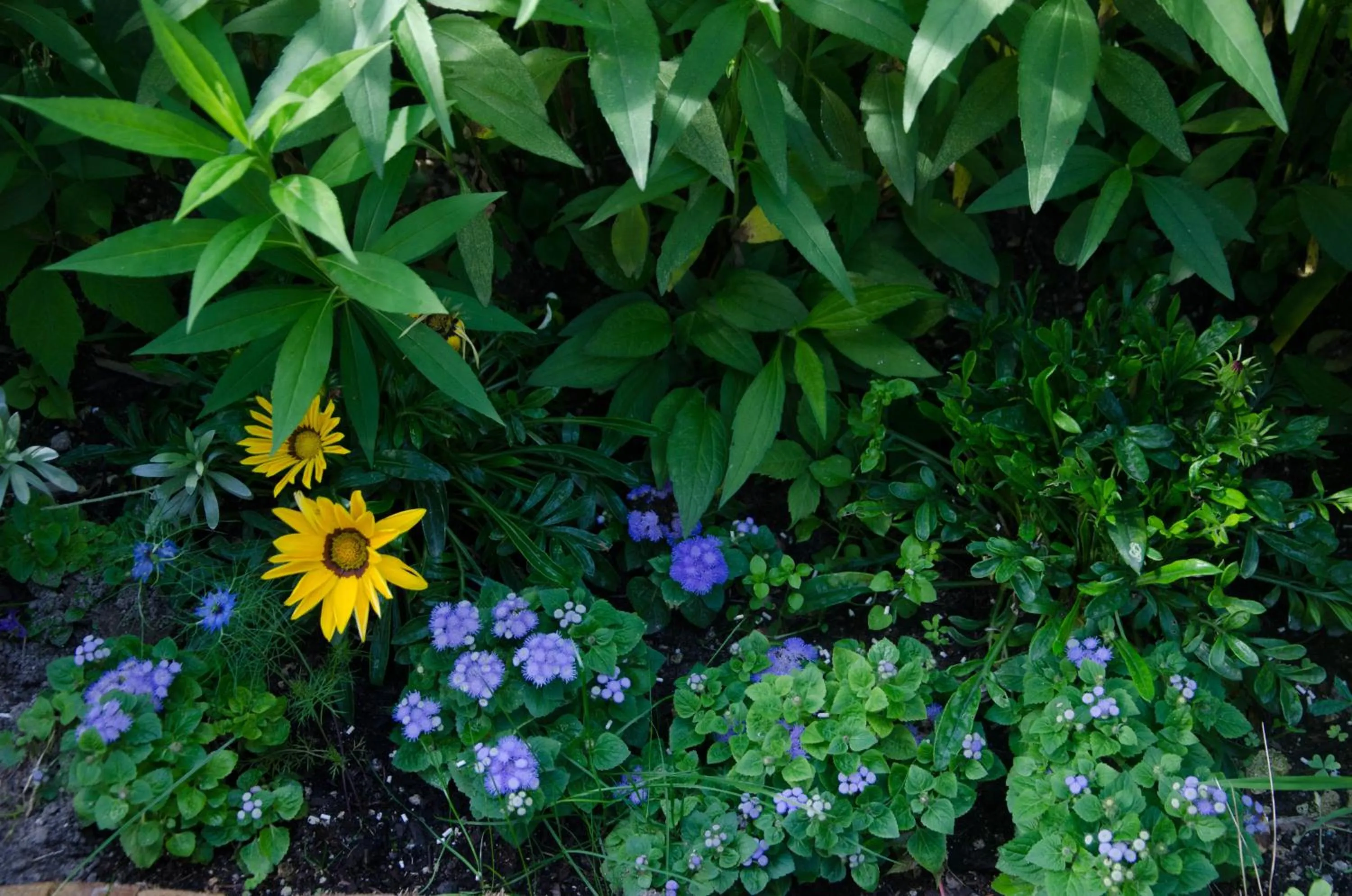 Property building in Les Tournesols