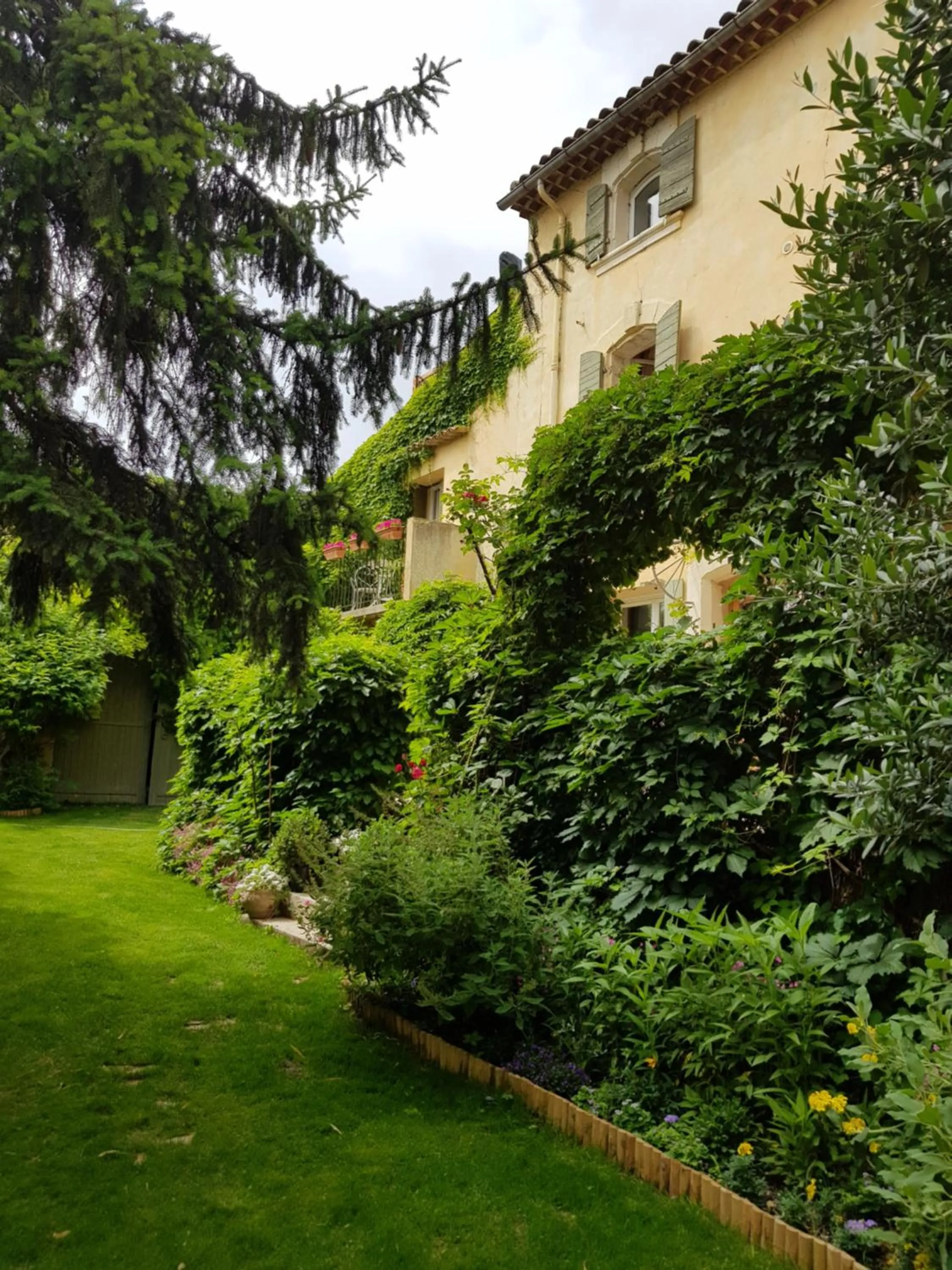 Garden in Les Tournesols