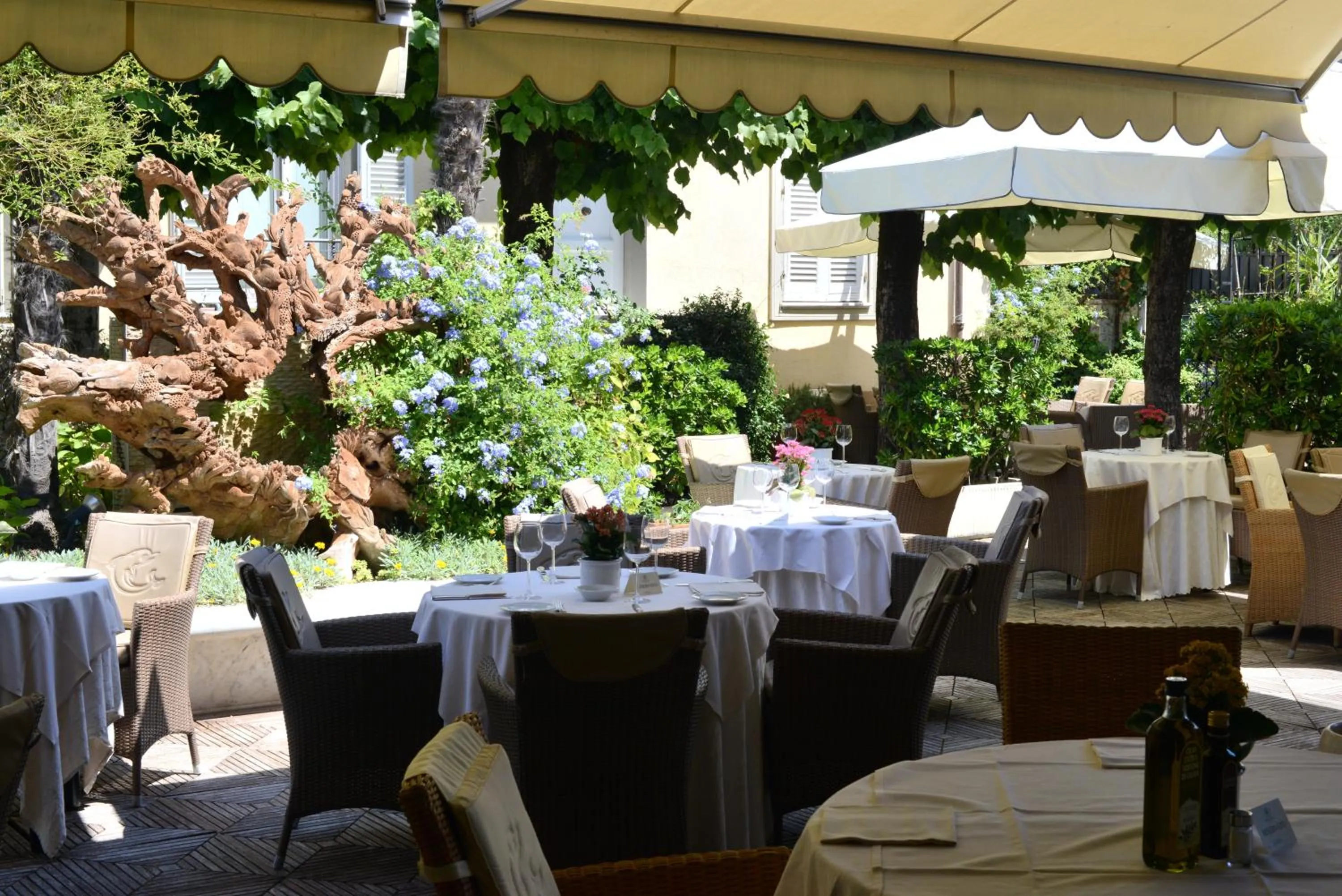 Restaurant/places to eat in Hotel Goya