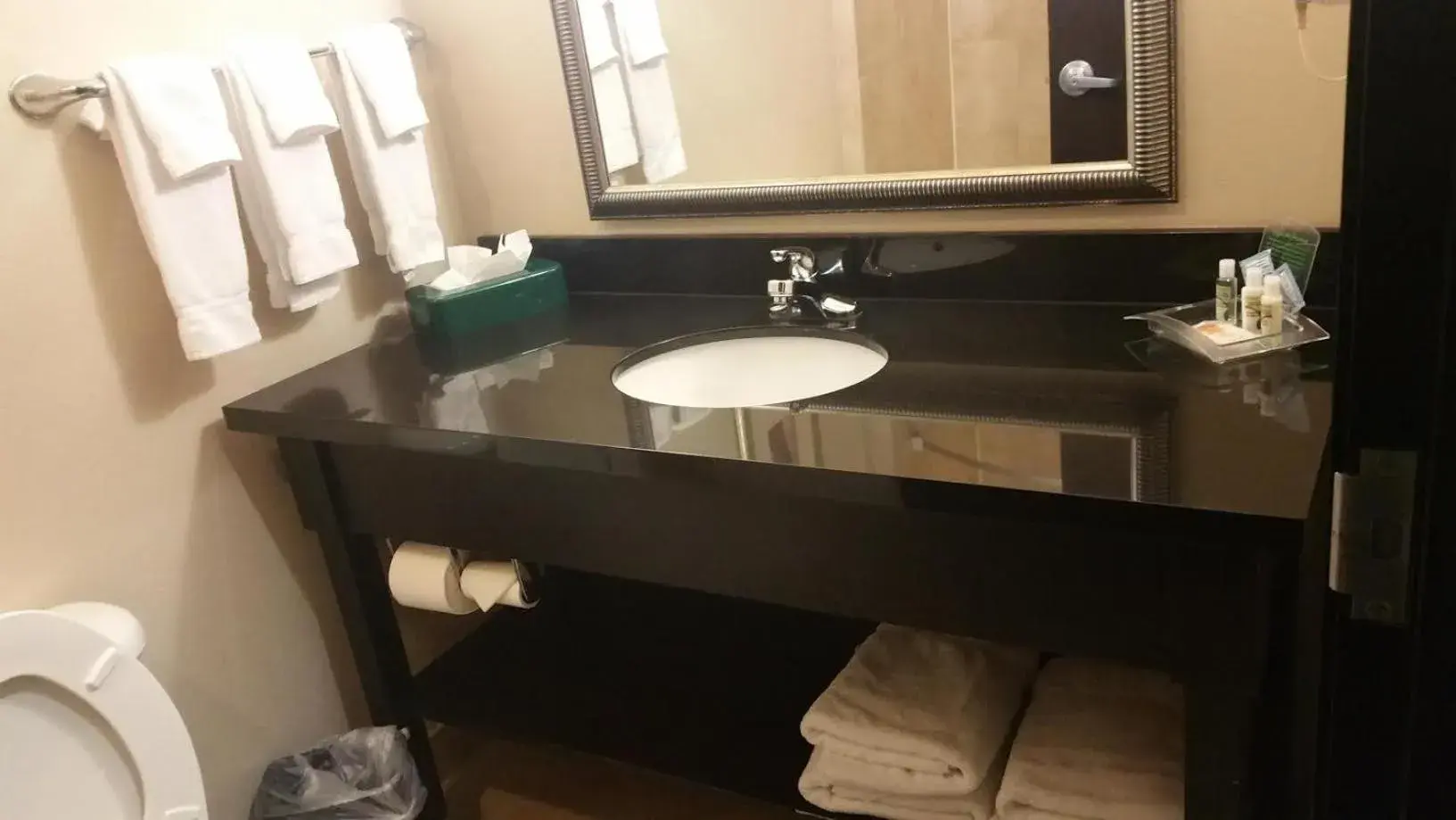 Standard King Room in Holiday Inn Temple - Belton by IHG Standard King Room in Holiday Inn Temple - Belton by IHG