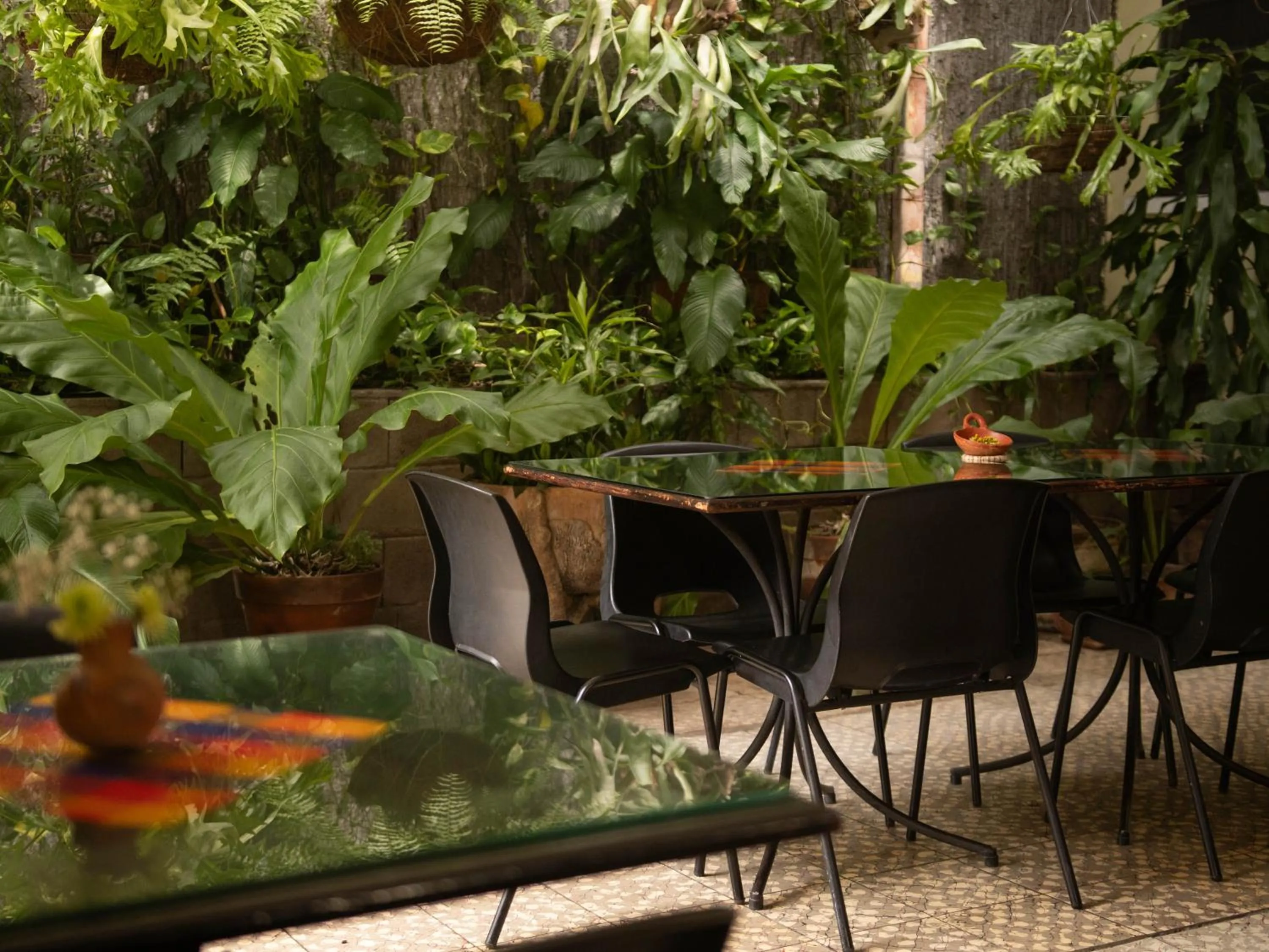 Patio in Eco Hotel Mariscal