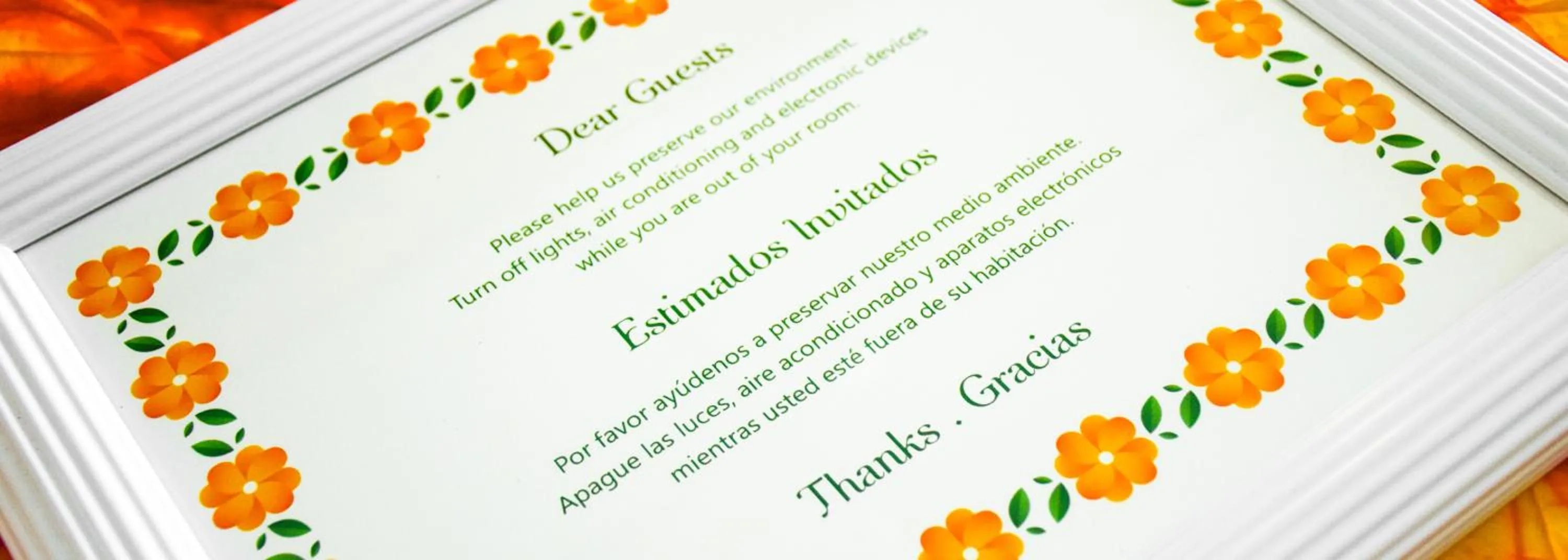 Logo/Certificate/Sign in Eco Hotel Mariscal