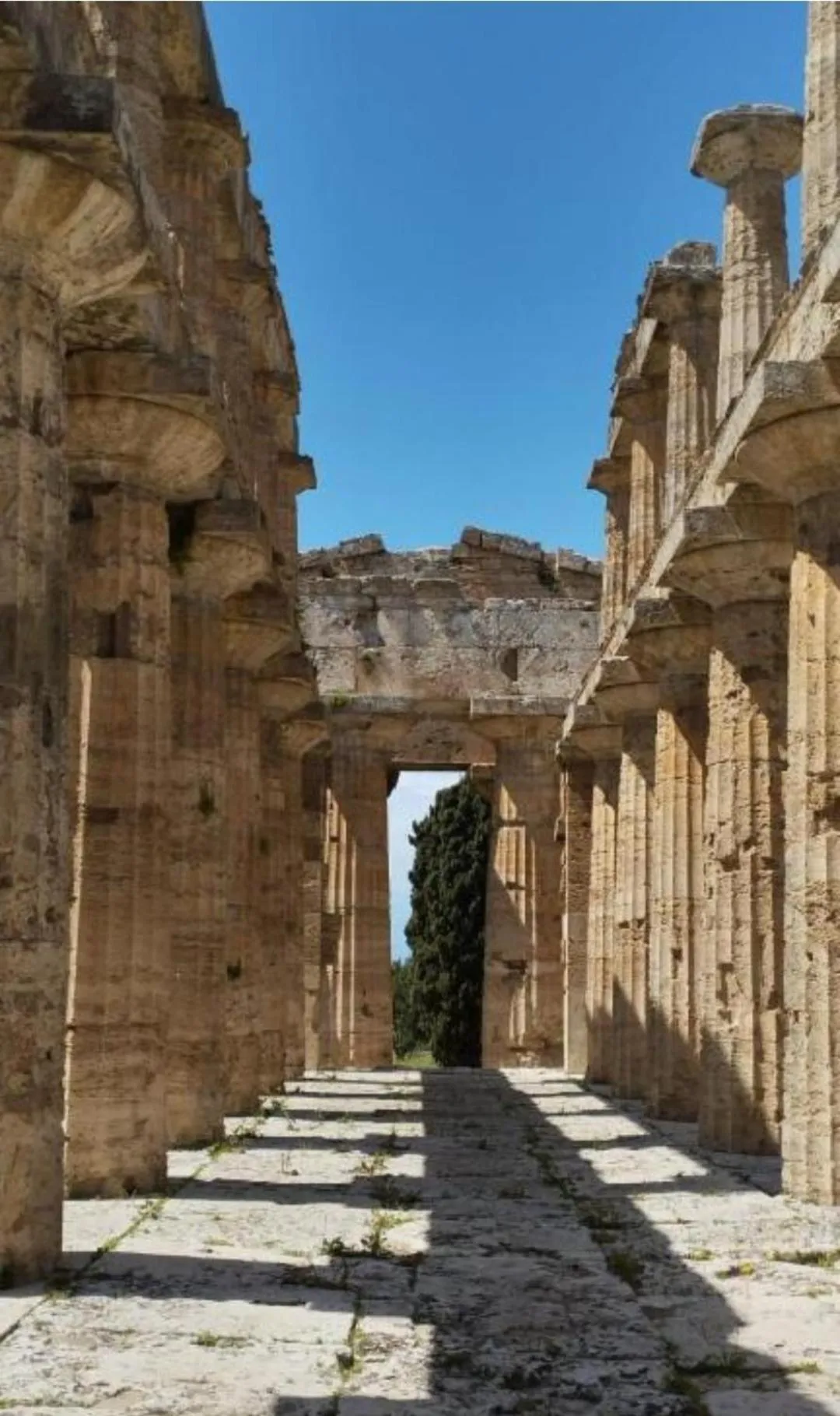 Cilentorooms Paestum