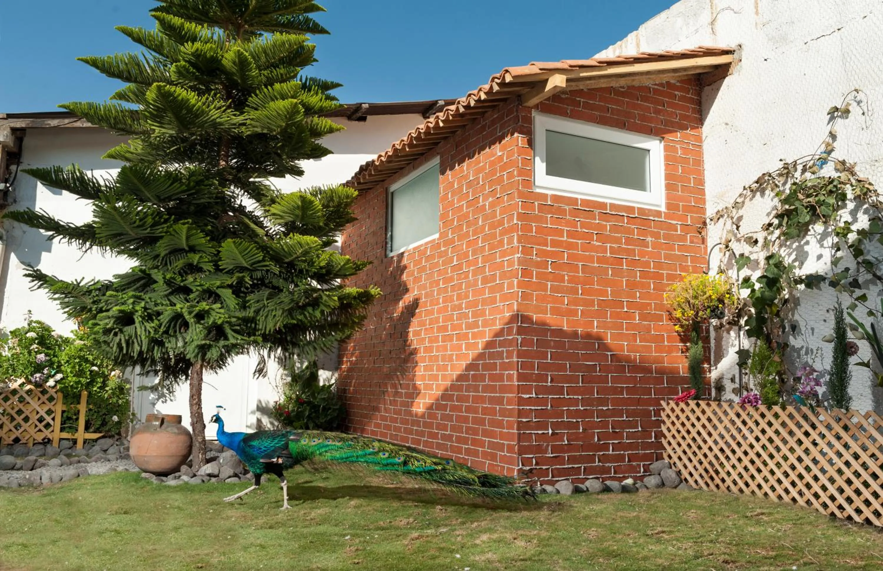Hotel Vintage "Casa las Flores"