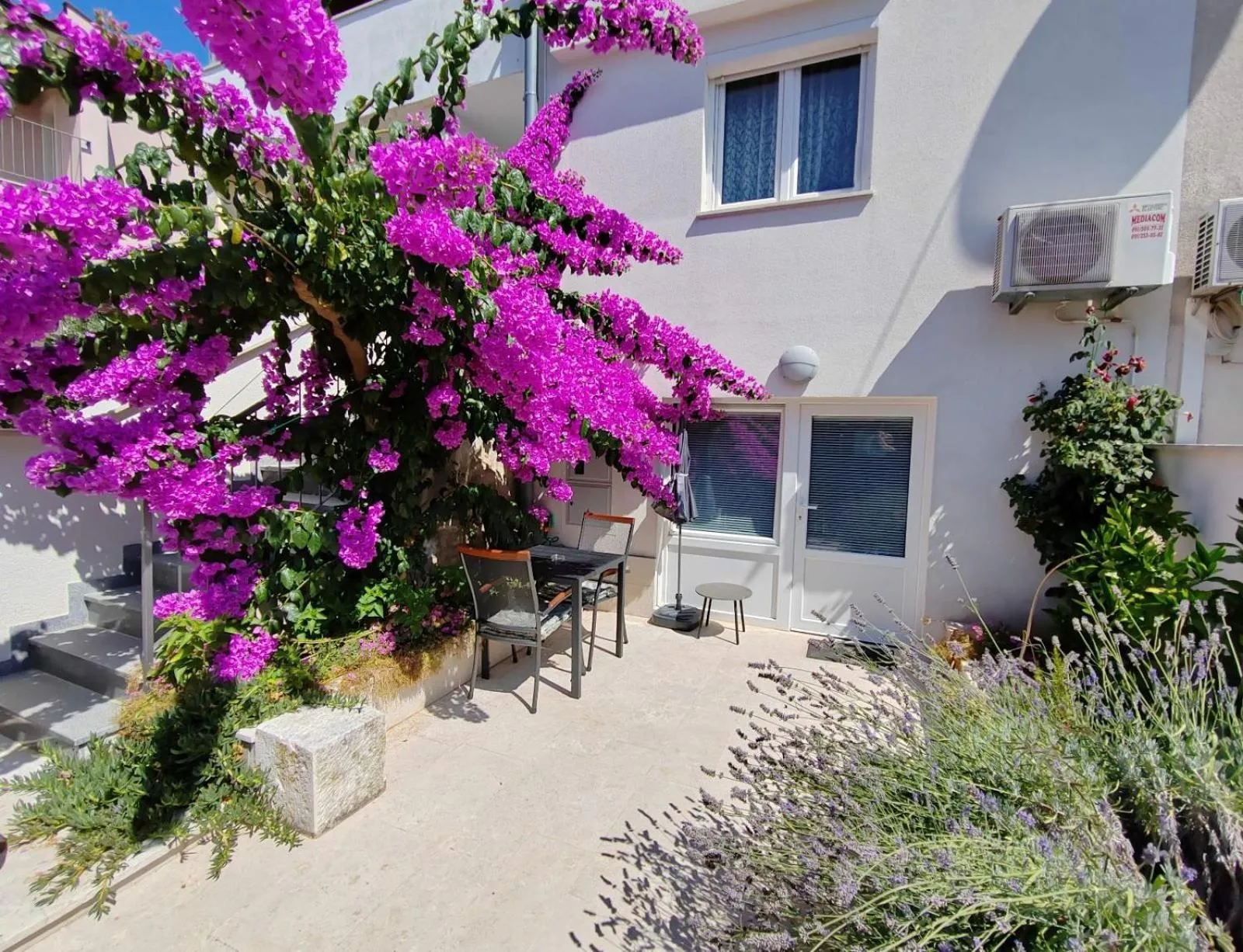 Patio in Studio City Garden