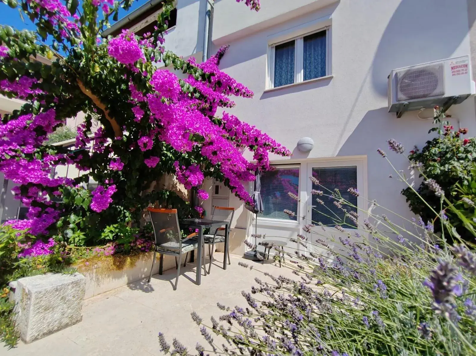 Studio City Garden Studio City Garden