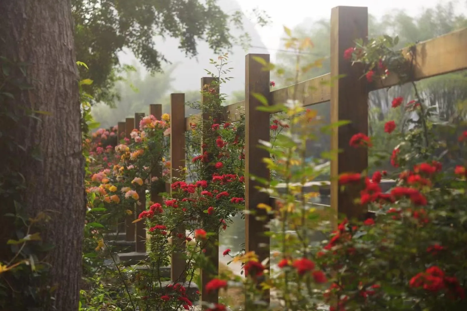 Garden in Moondance Boutique Resort