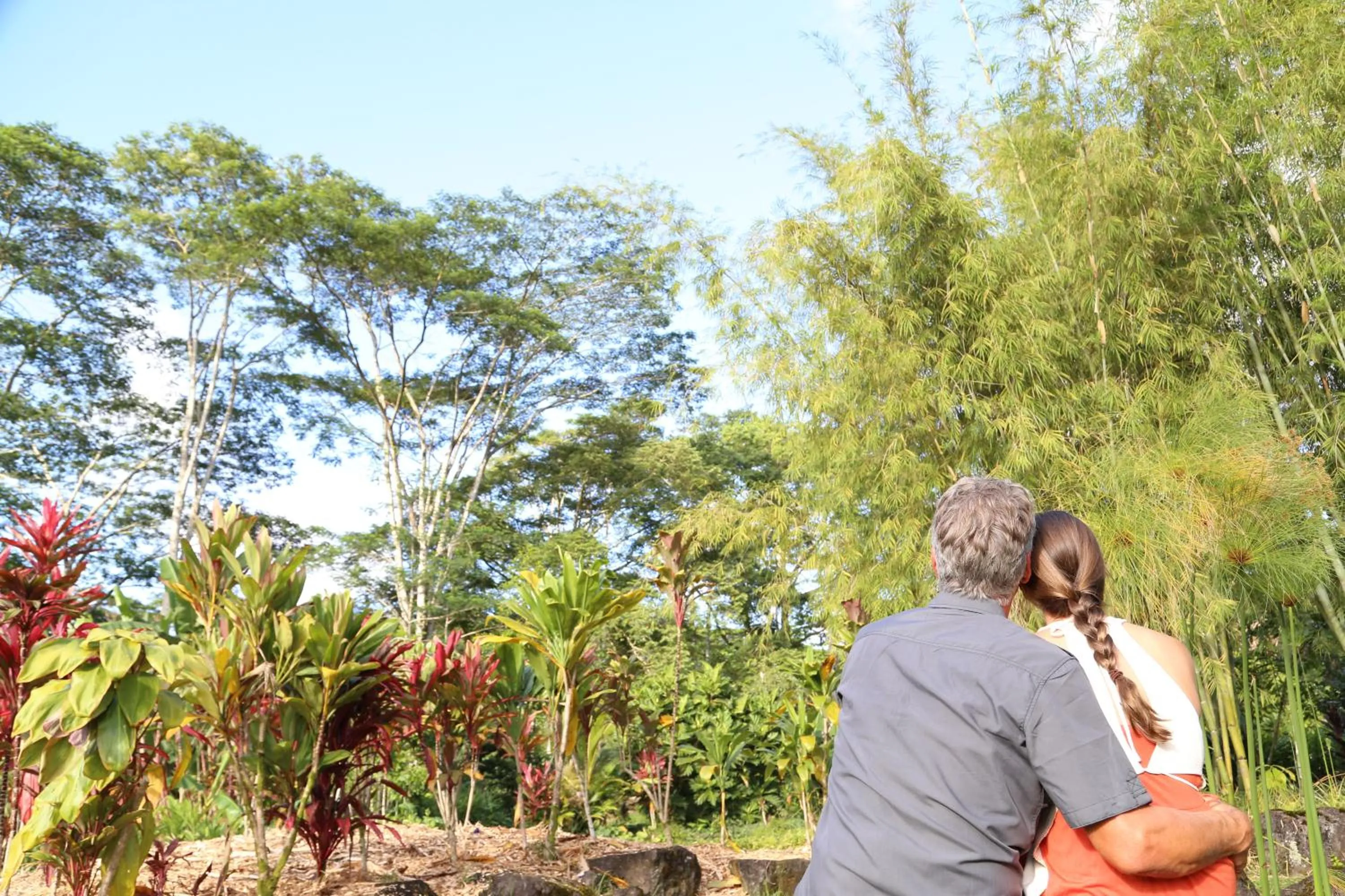 Garden in Hawaiian Sanctuary Eco Retreat Center