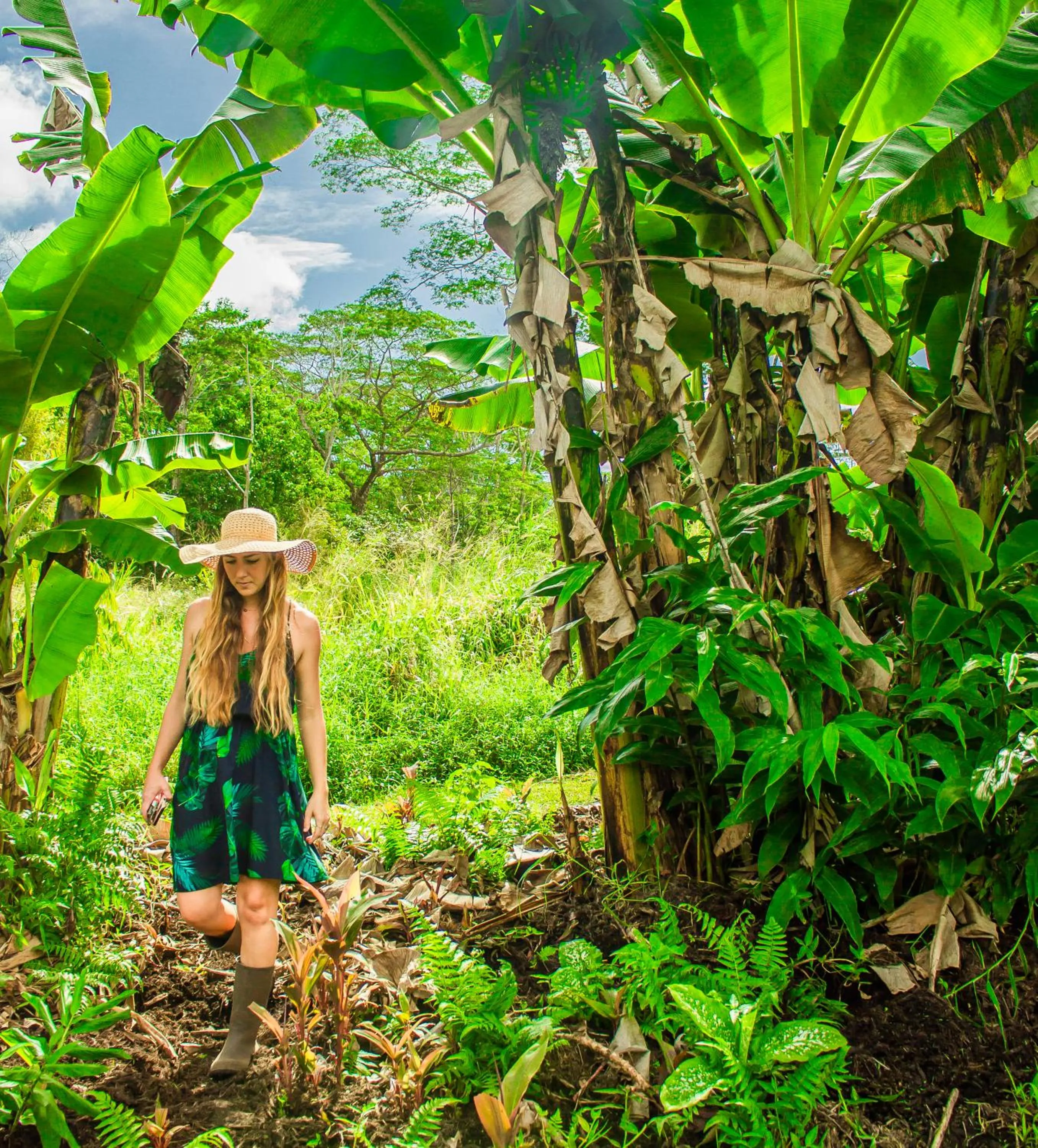 Garden in Hawaiian Sanctuary Eco Retreat Center