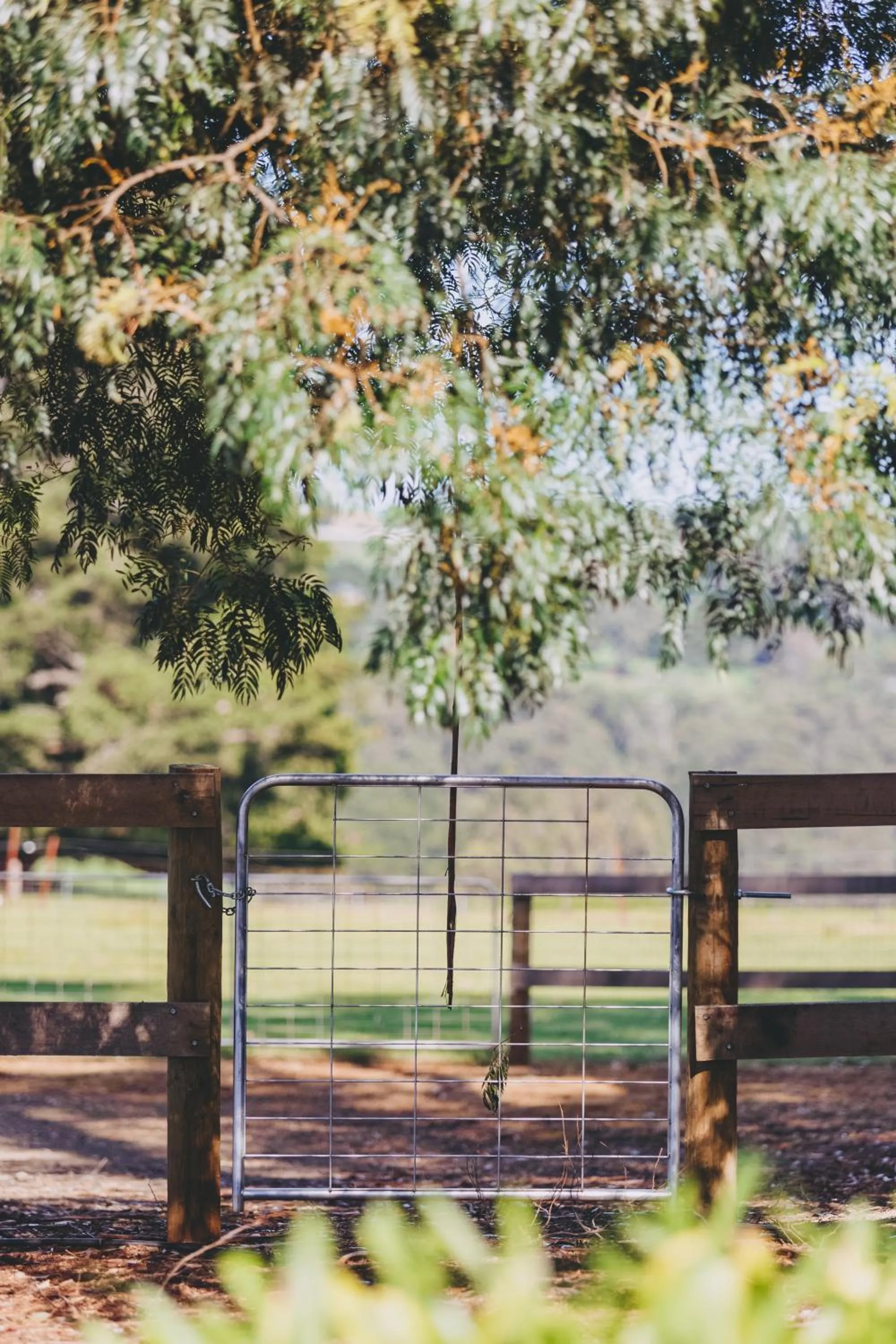 Property building in Dalblair Bed & Breakfast