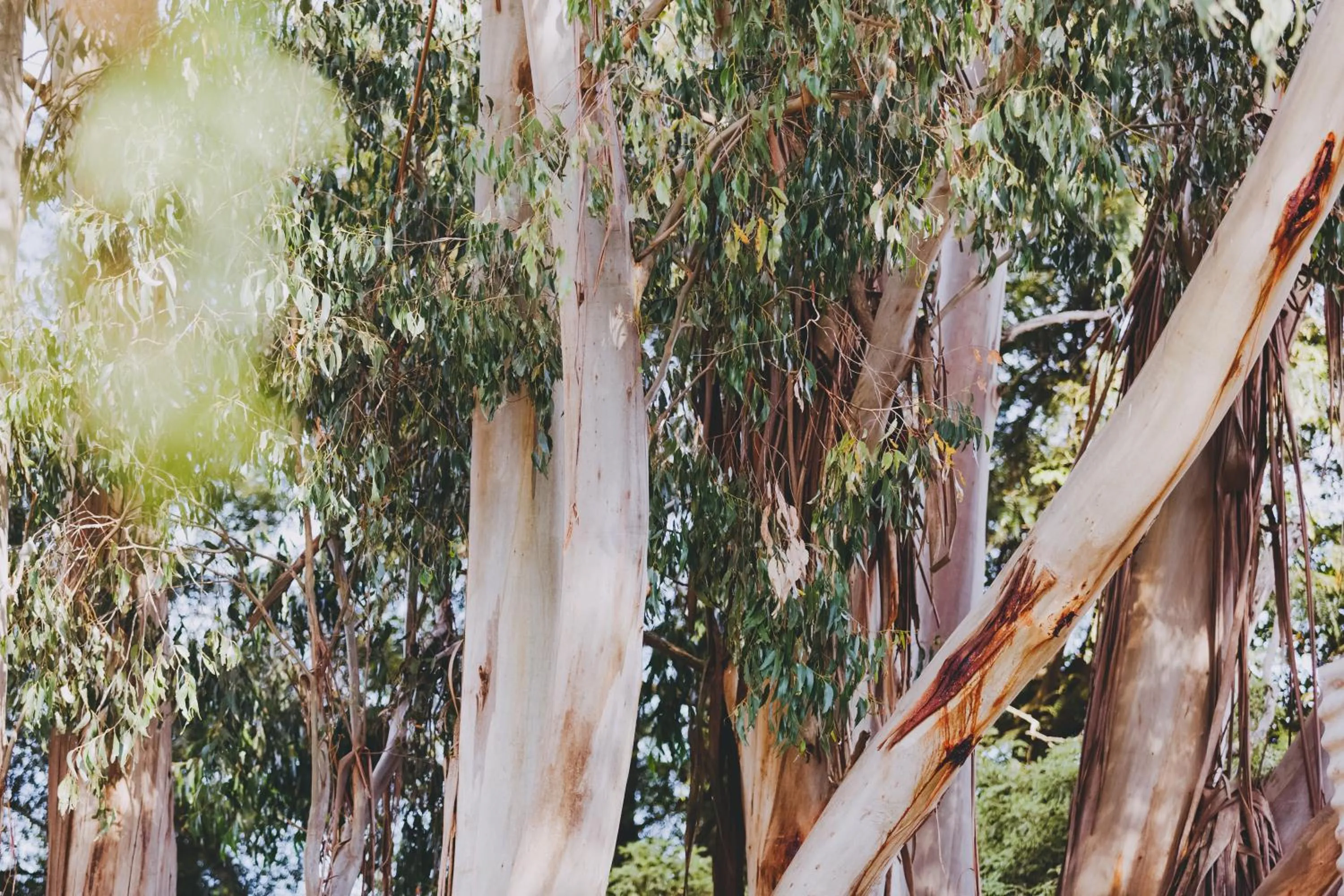 Property building in Dalblair Bed & Breakfast