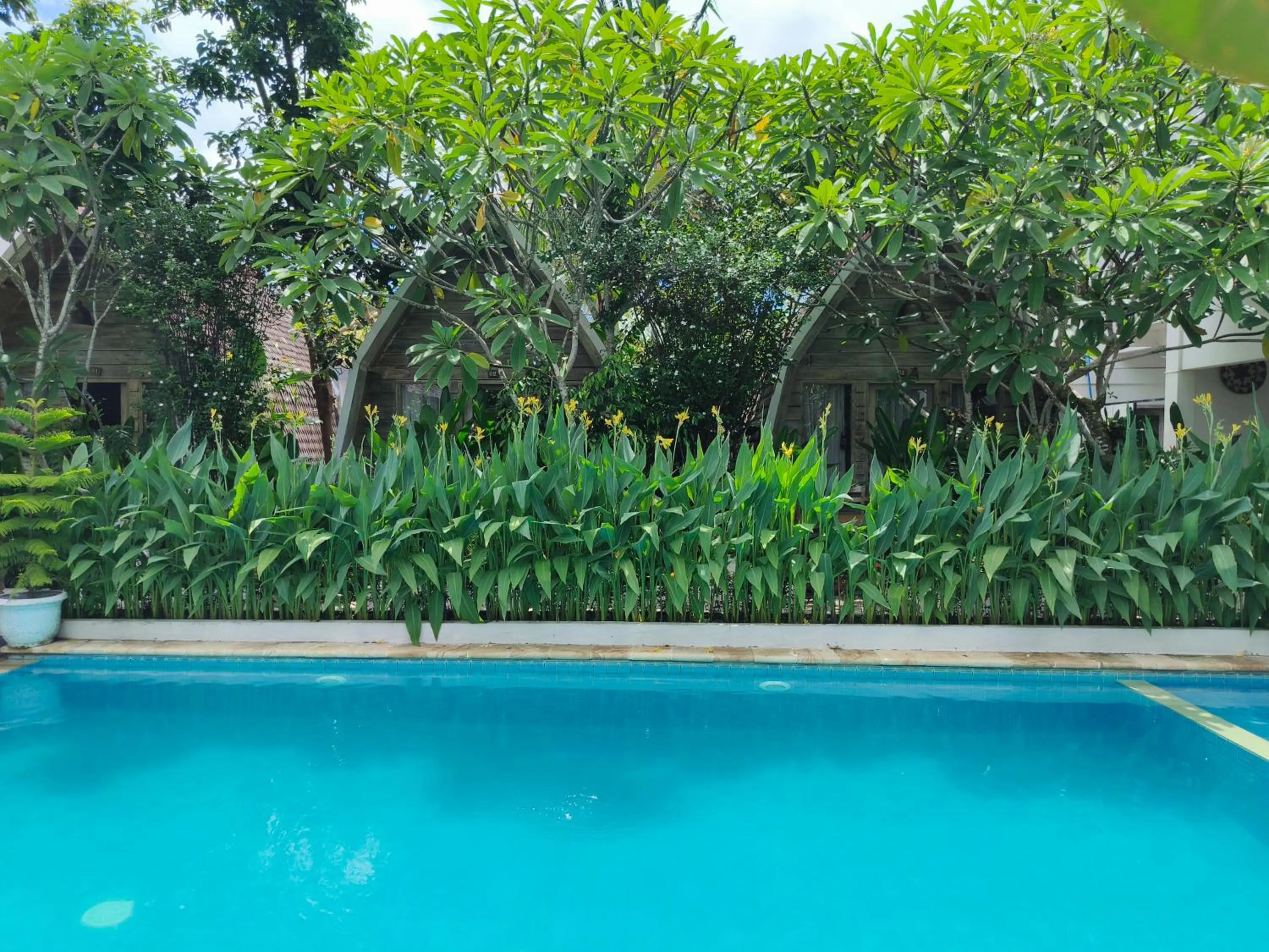 Lavella Villas Kuta Lombok