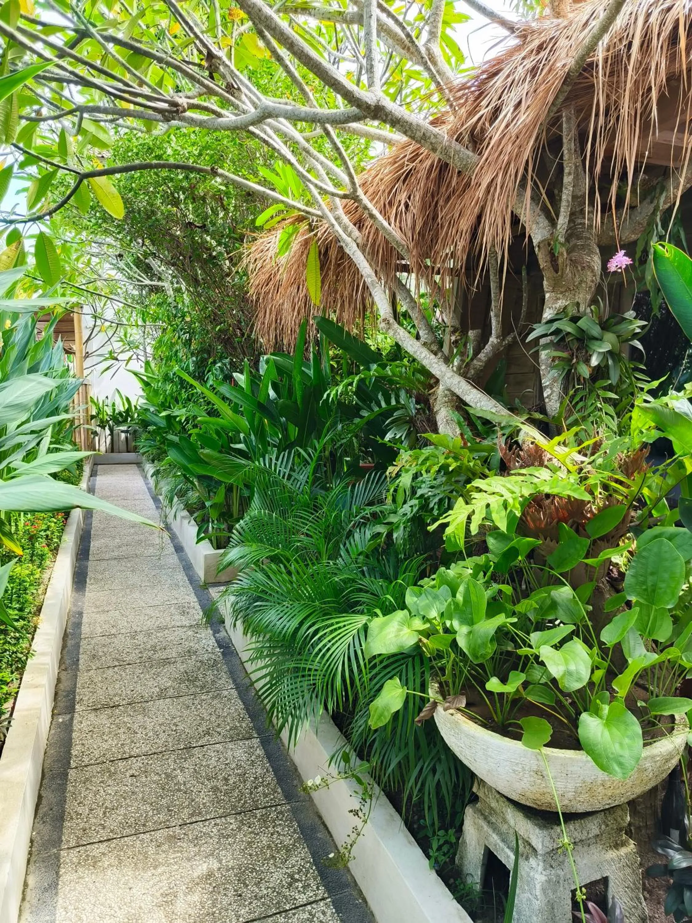 Lavella Villas Kuta Lombok