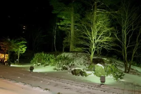Garden in Hotel Spax Kusatsu