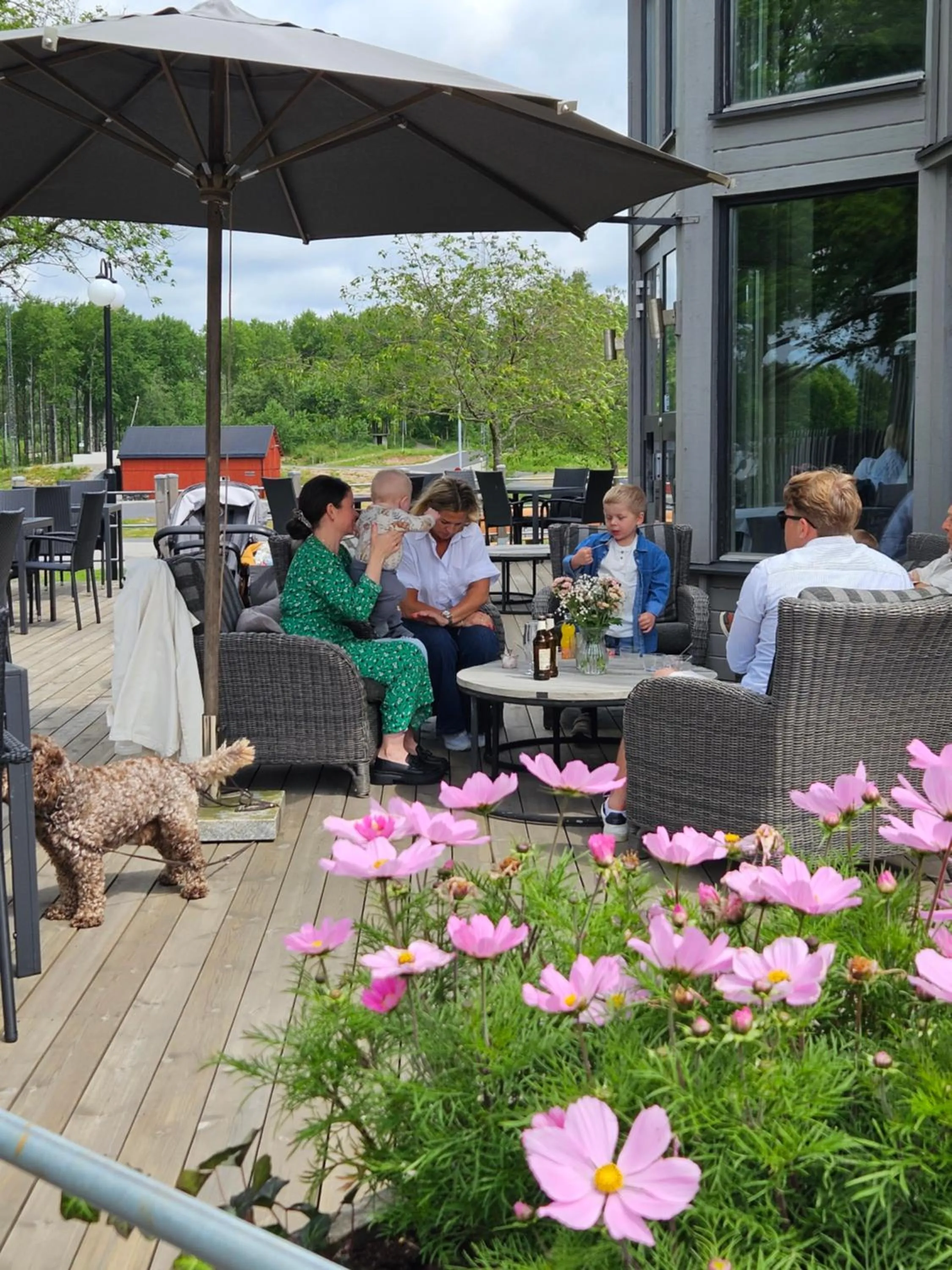 Balcony/Terrace in Hotell Lassalyckan
