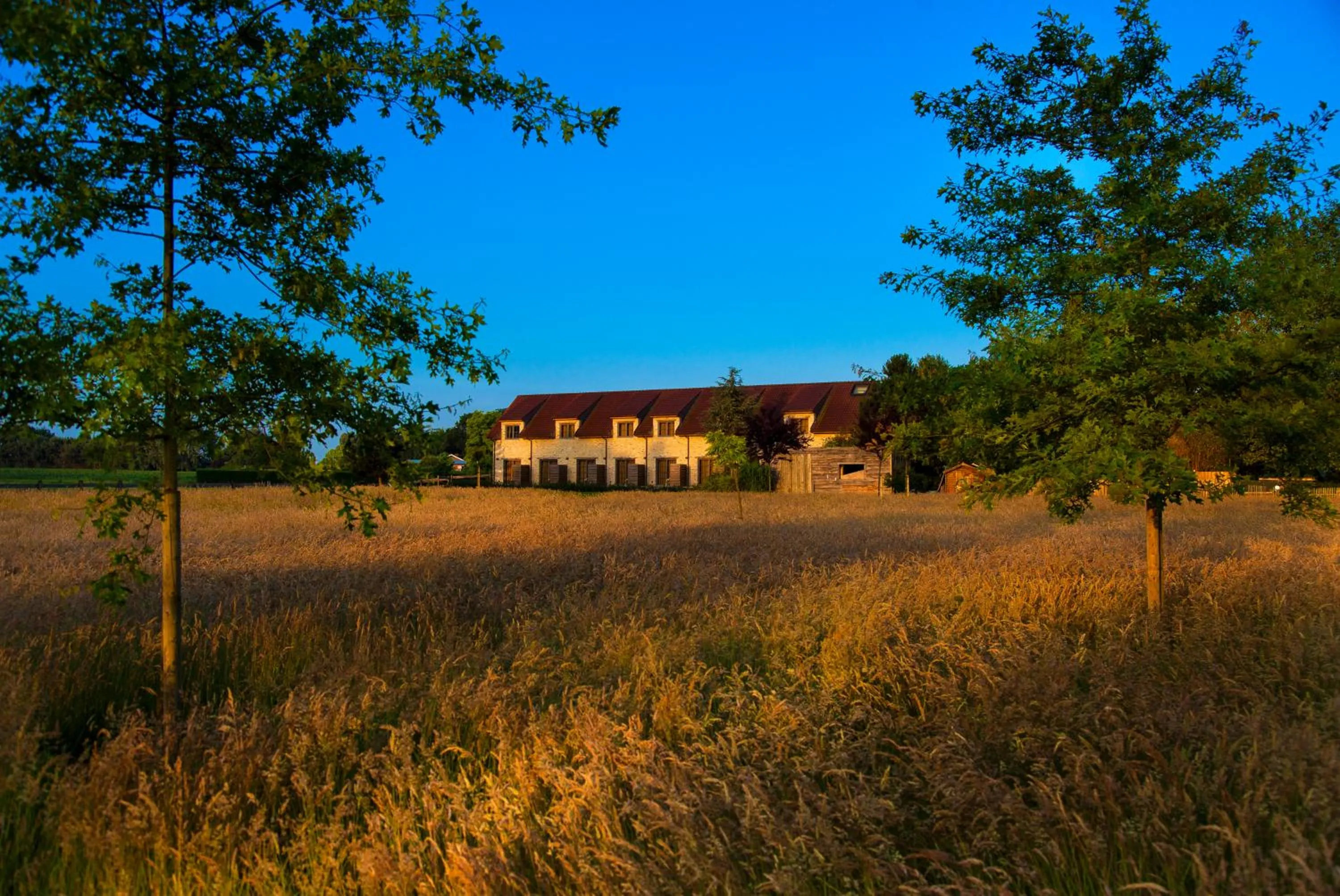 Property building in Country Lodge Hotel Moriaanshoofd