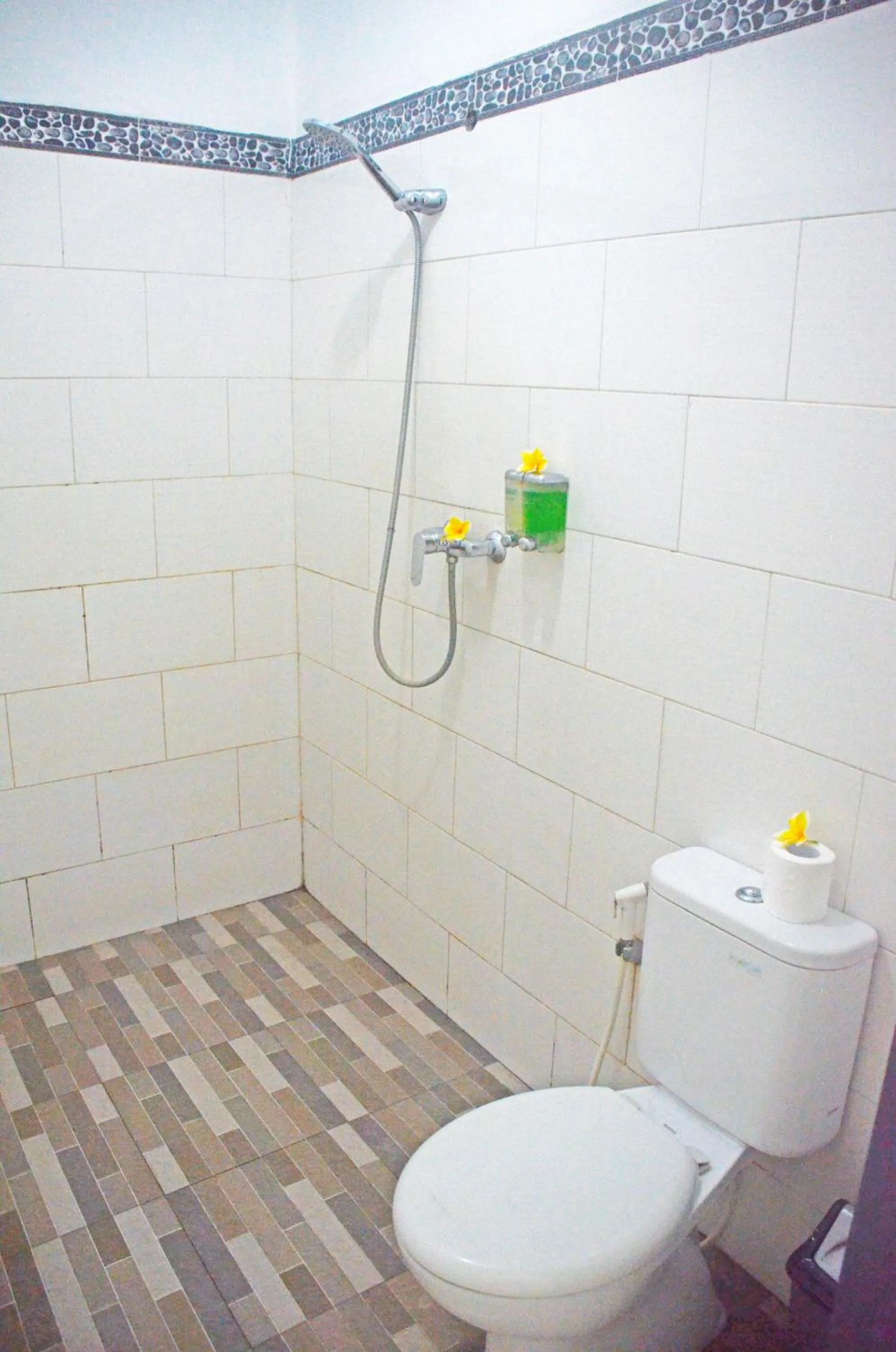Shower in Mamaras Guest House