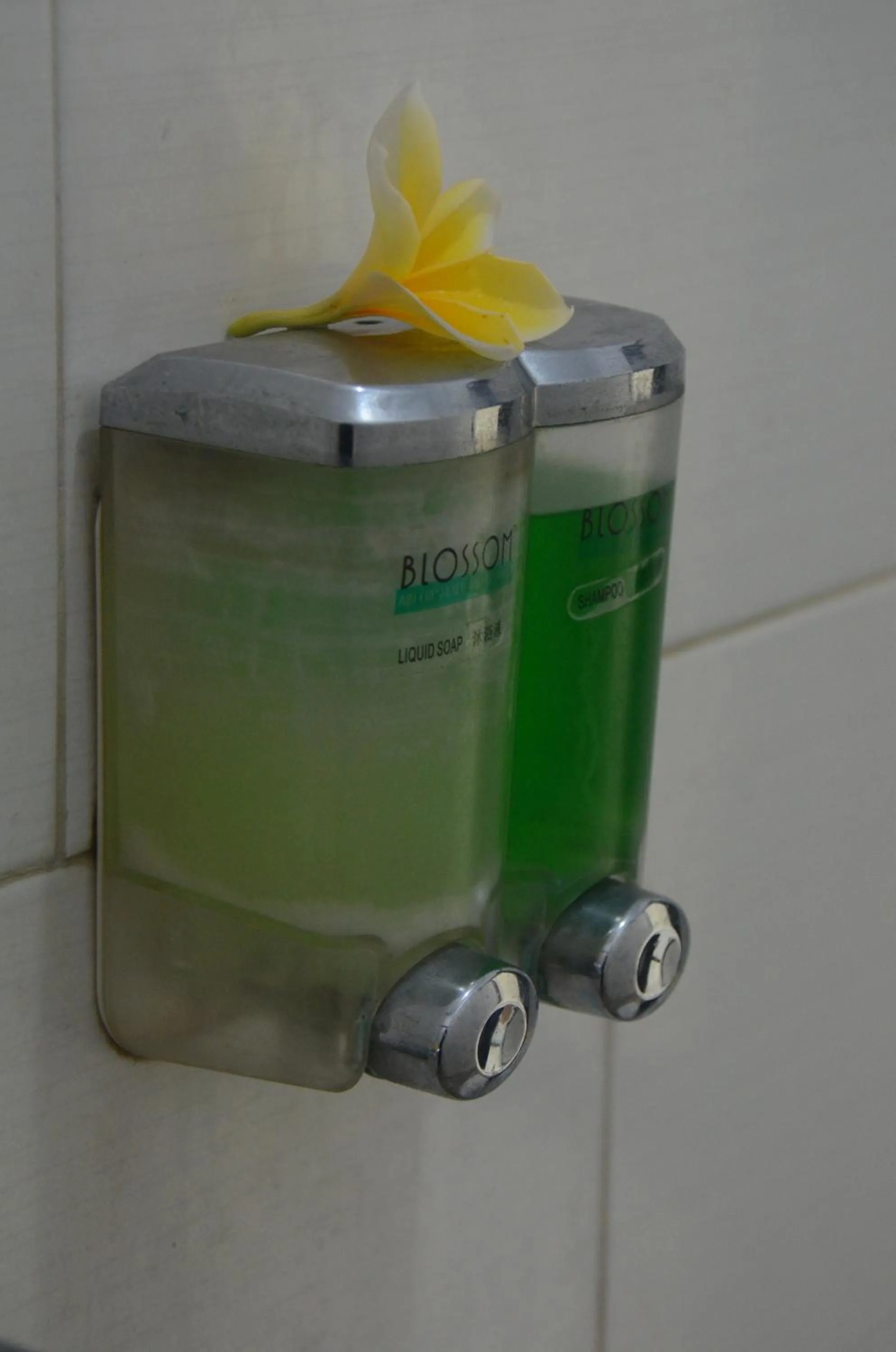 Area and facilities in Mamaras Guest House