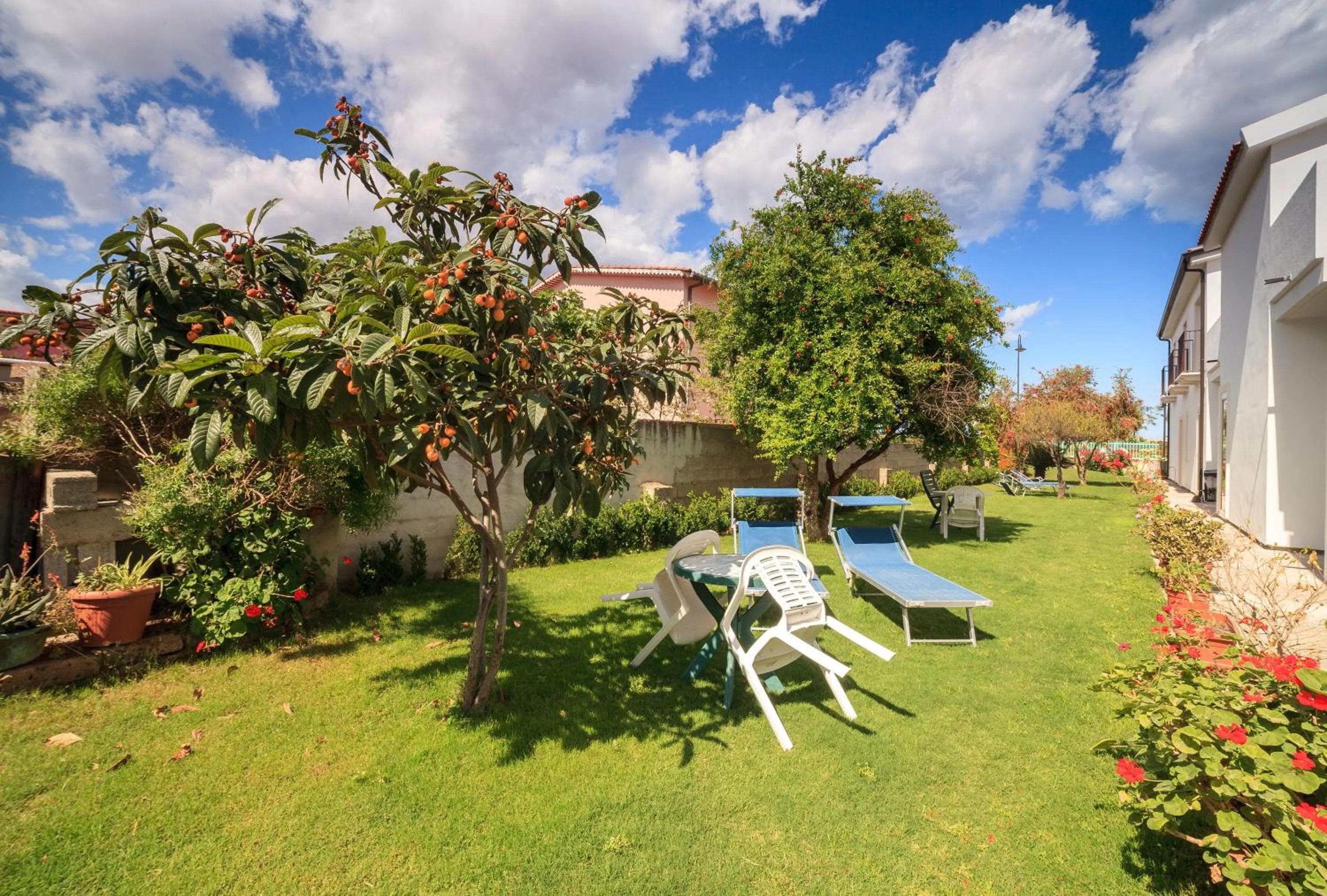 Garden in Villa Alberta Hotel