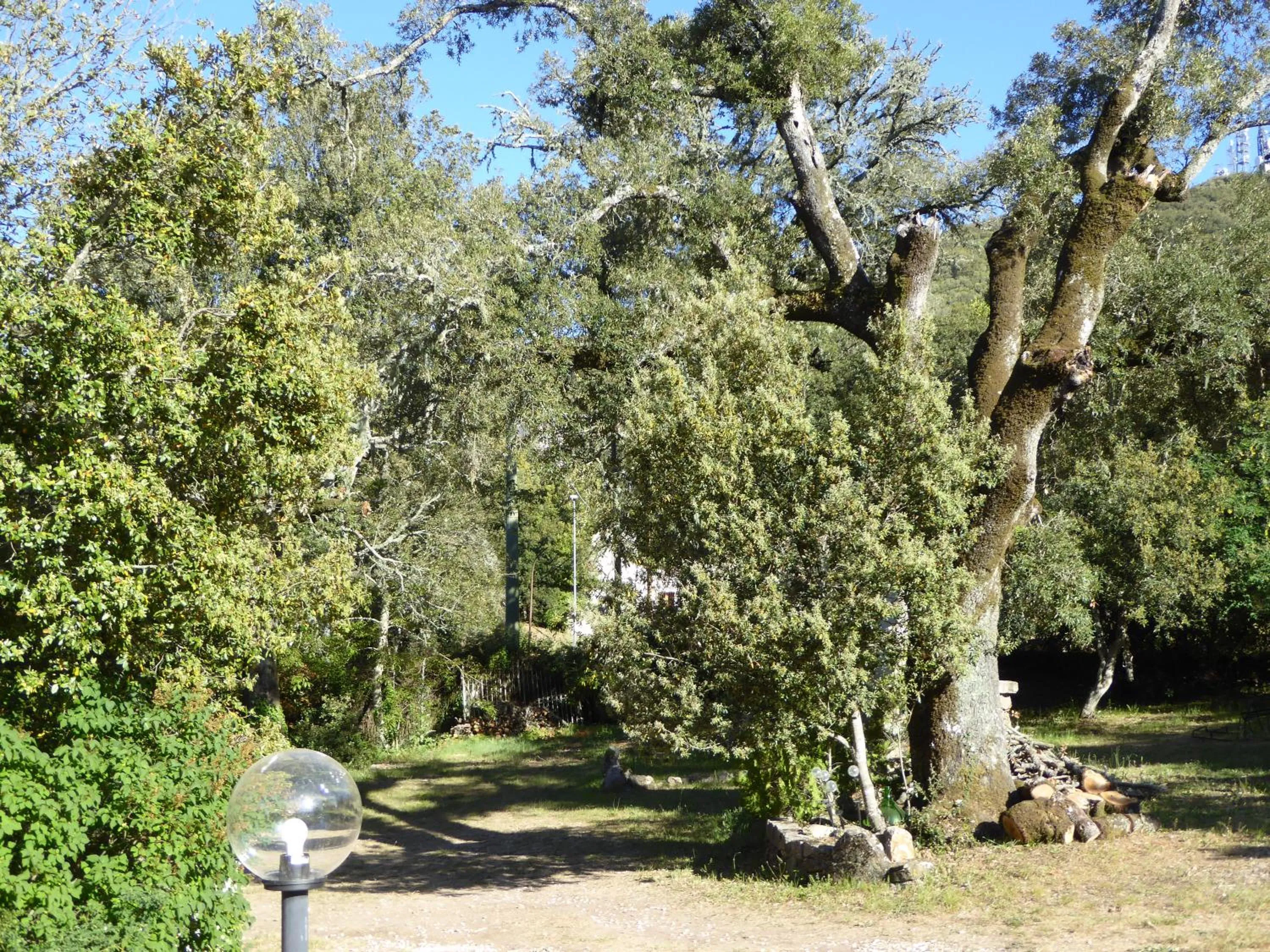 Garden in B&B Casa Solotti