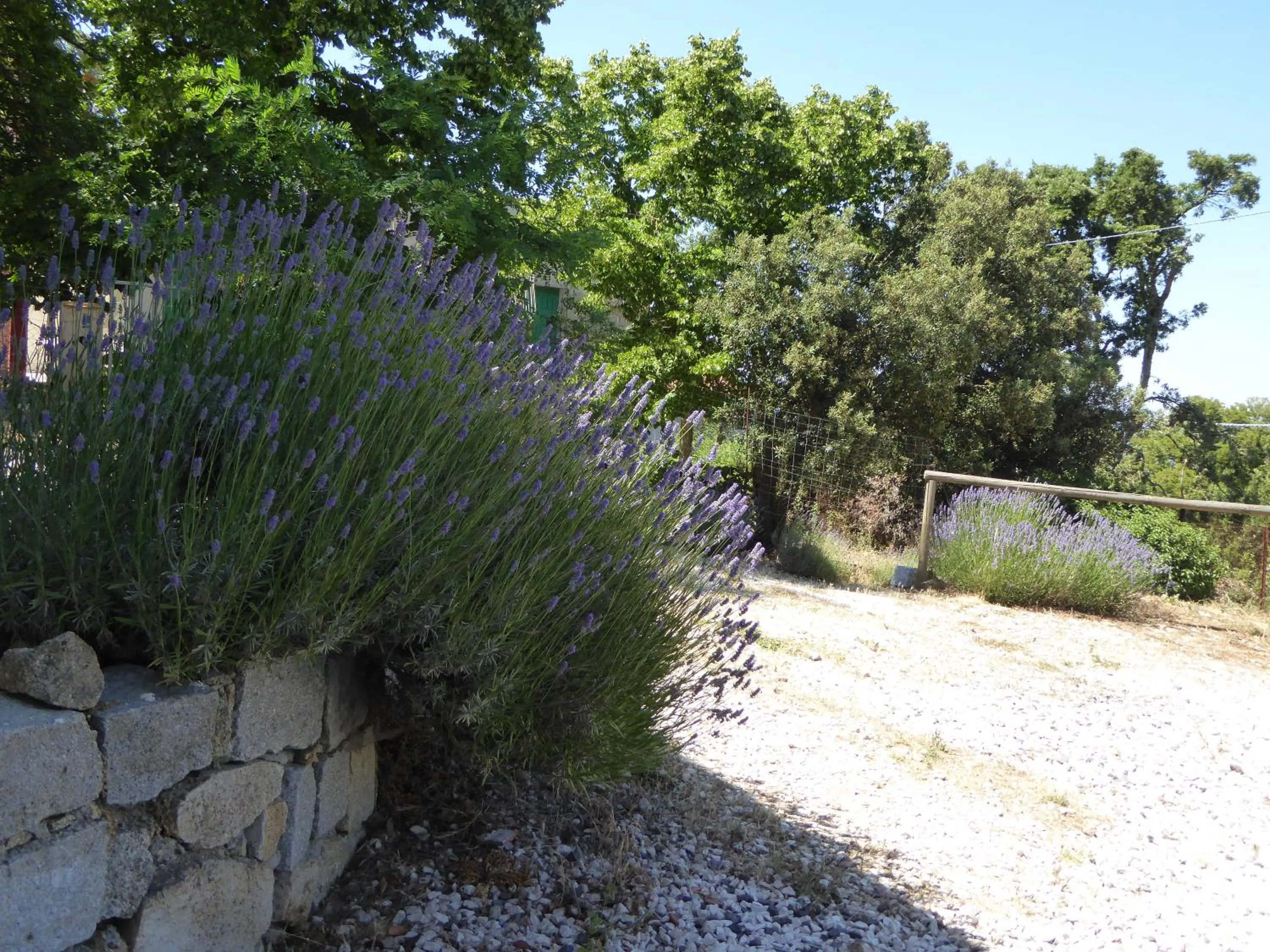 Garden in B&B Casa Solotti