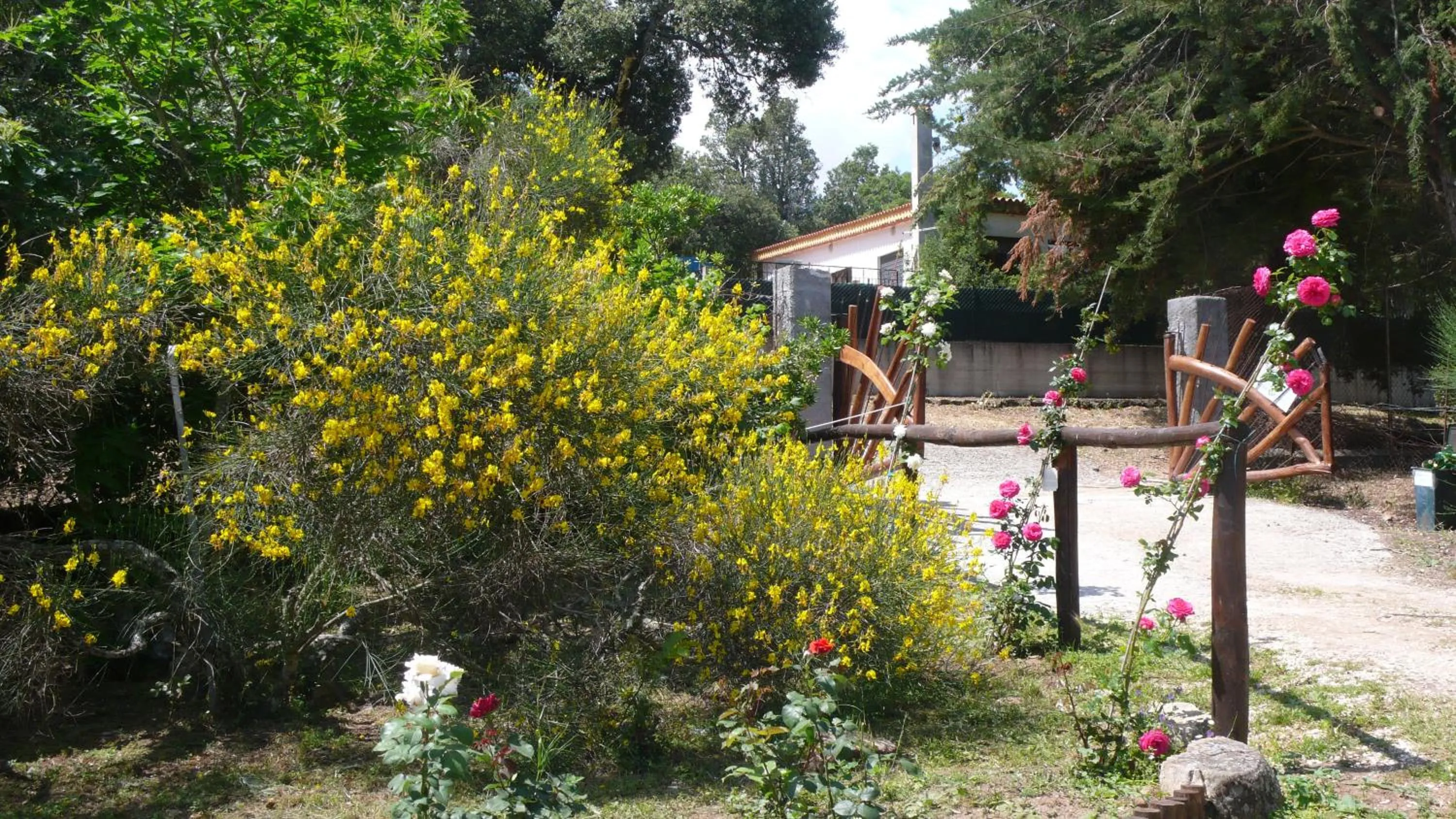 Facade/entrance in B&B Casa Solotti