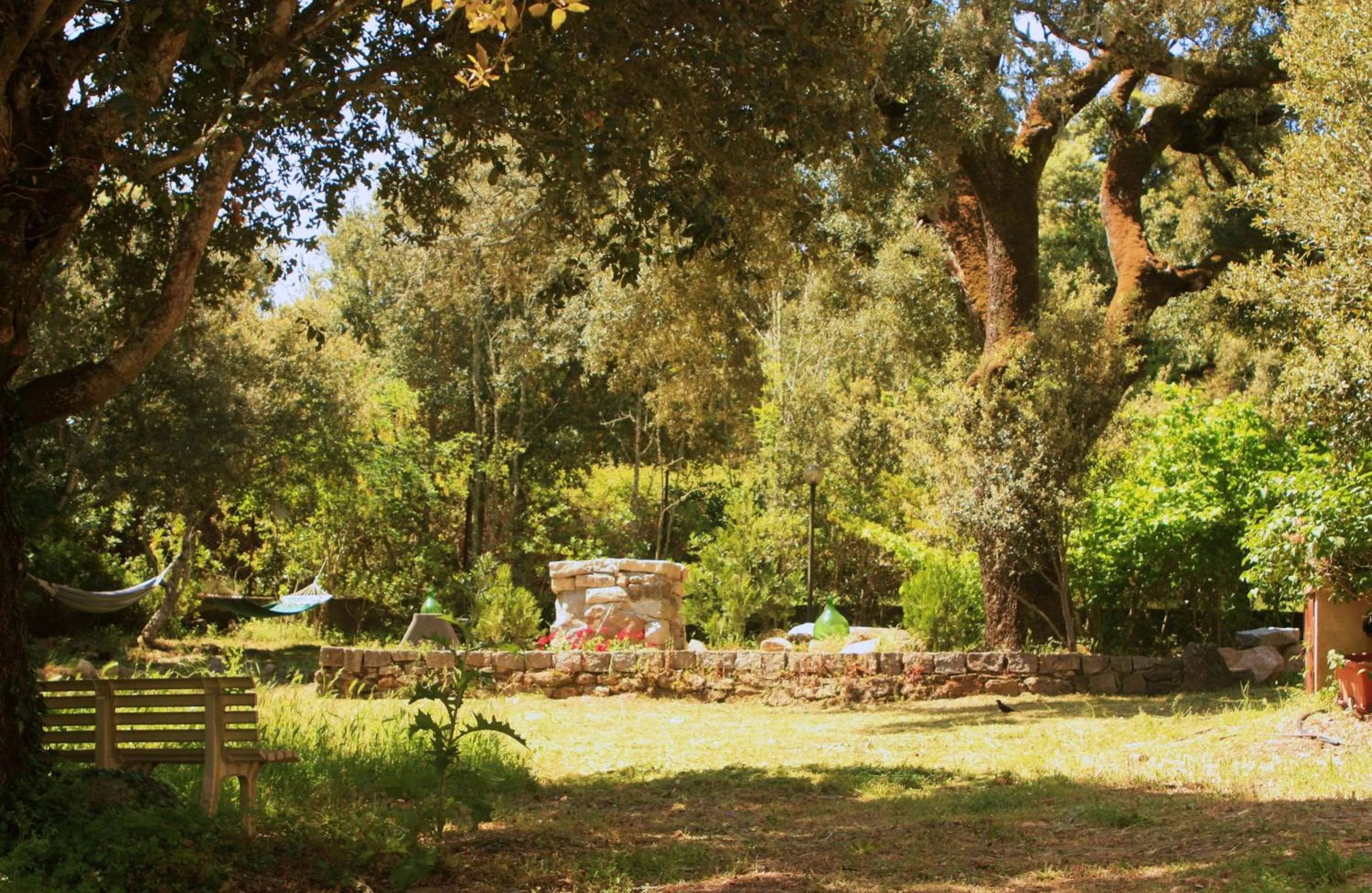 Garden in B&B Casa Solotti