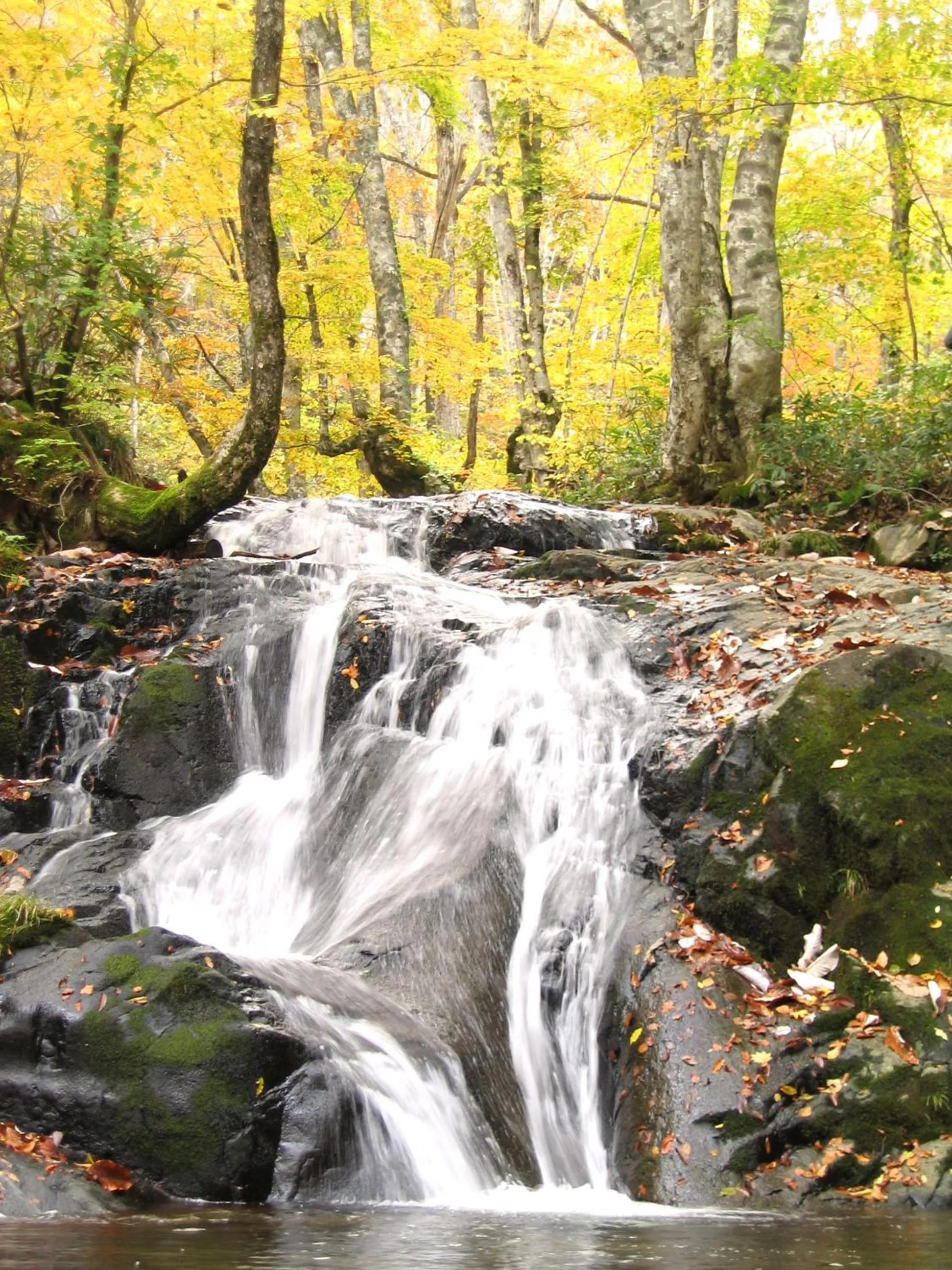 BEYOND HOTEL Takayama 1st