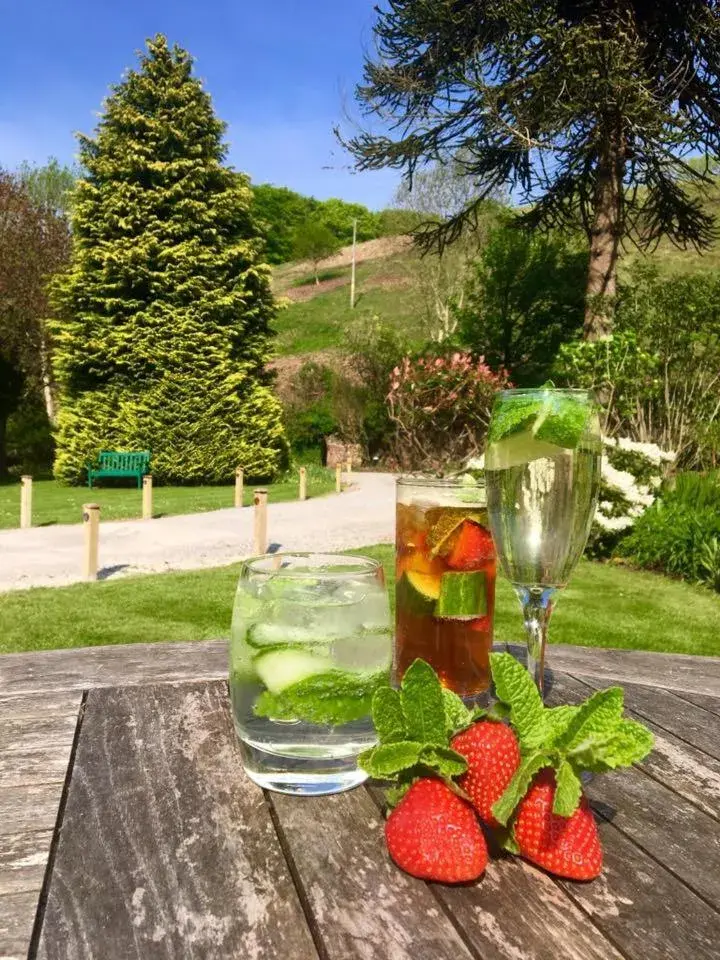 View (from property/room) in Combe House Hotel