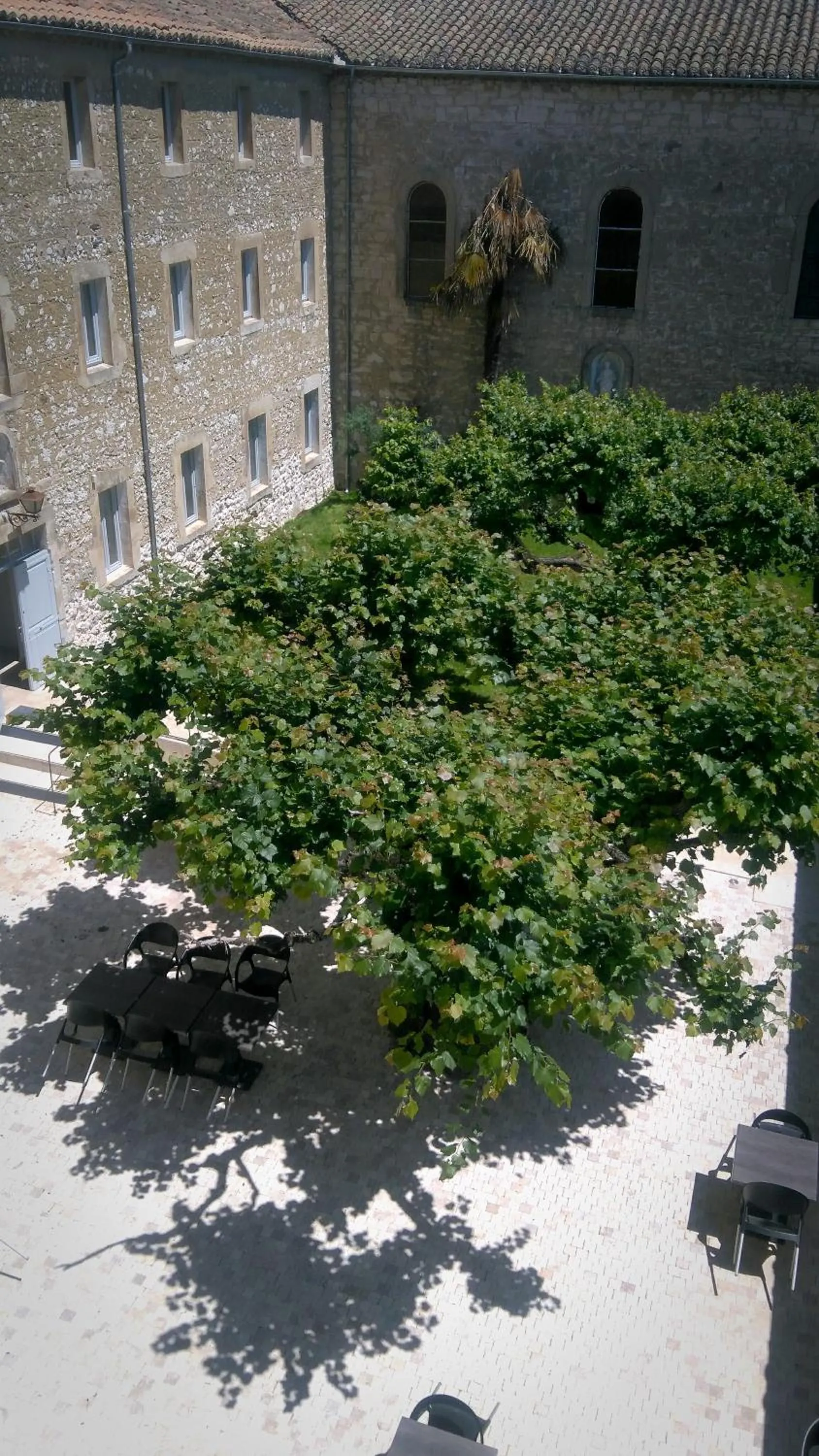 Garden view in L'hôtel du Couvent